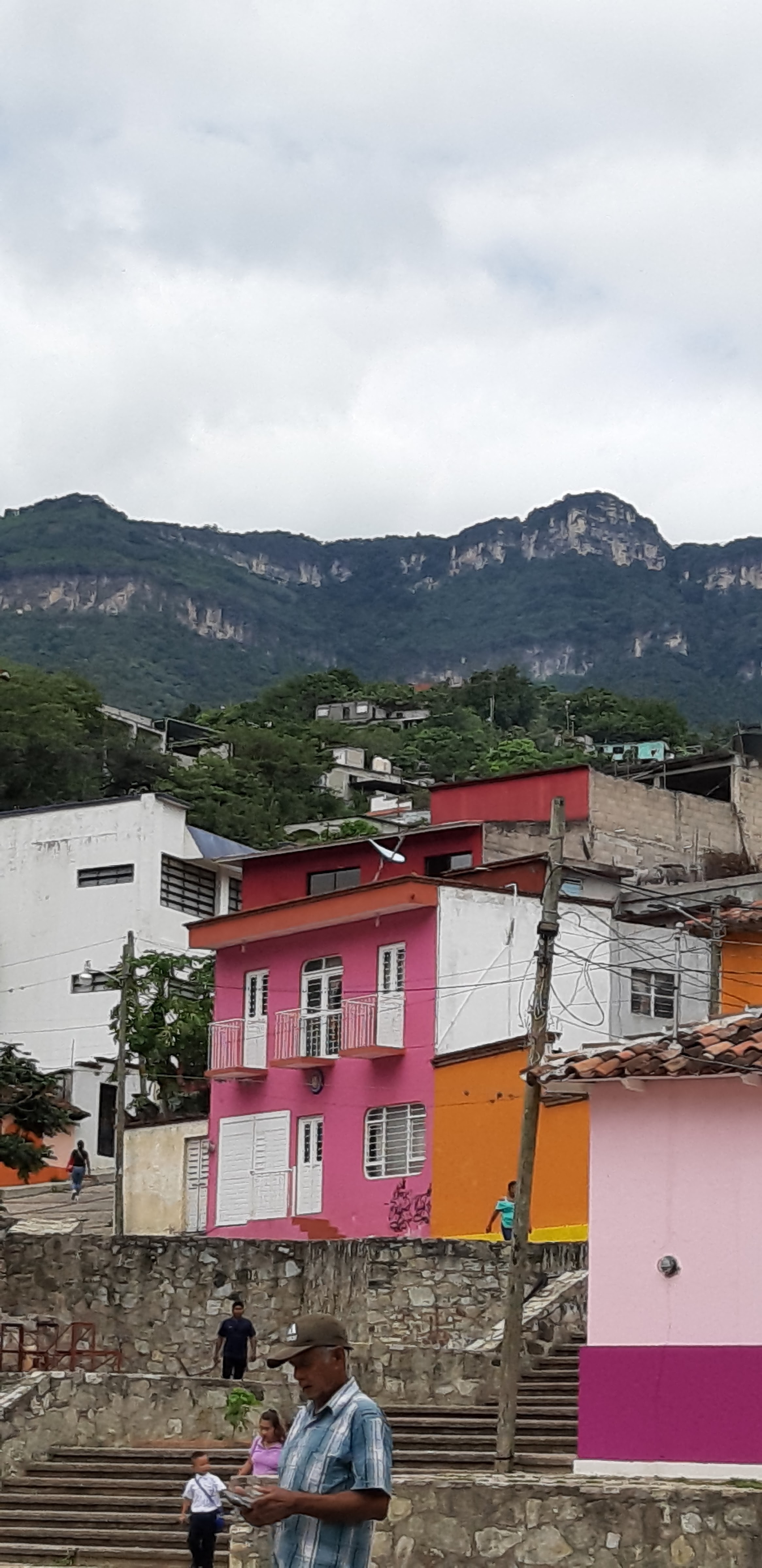 Restaurante Bambú image 7