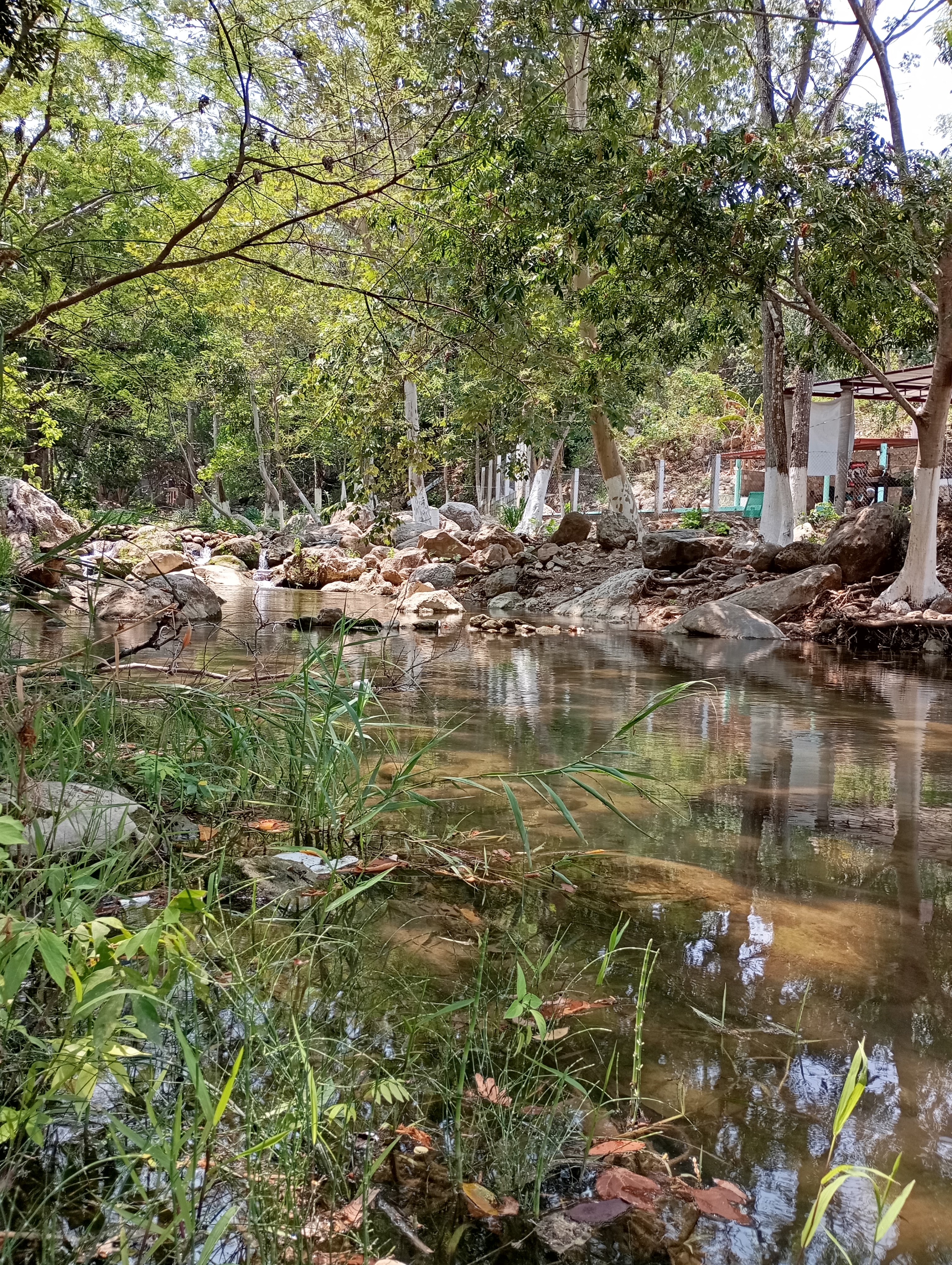 BALNEARIO RIO GRANDE image 4