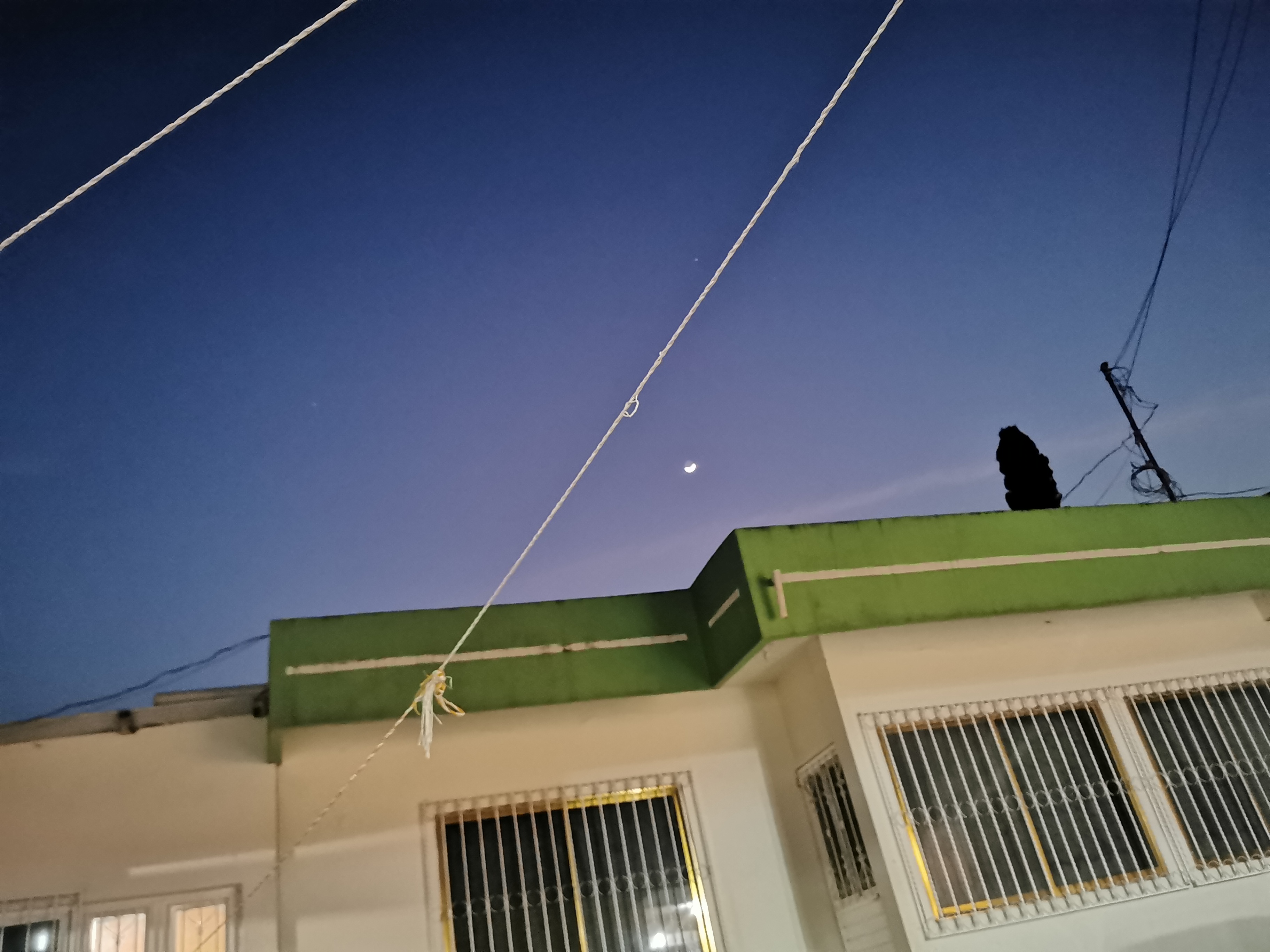 Taqueria San Antonio image 7