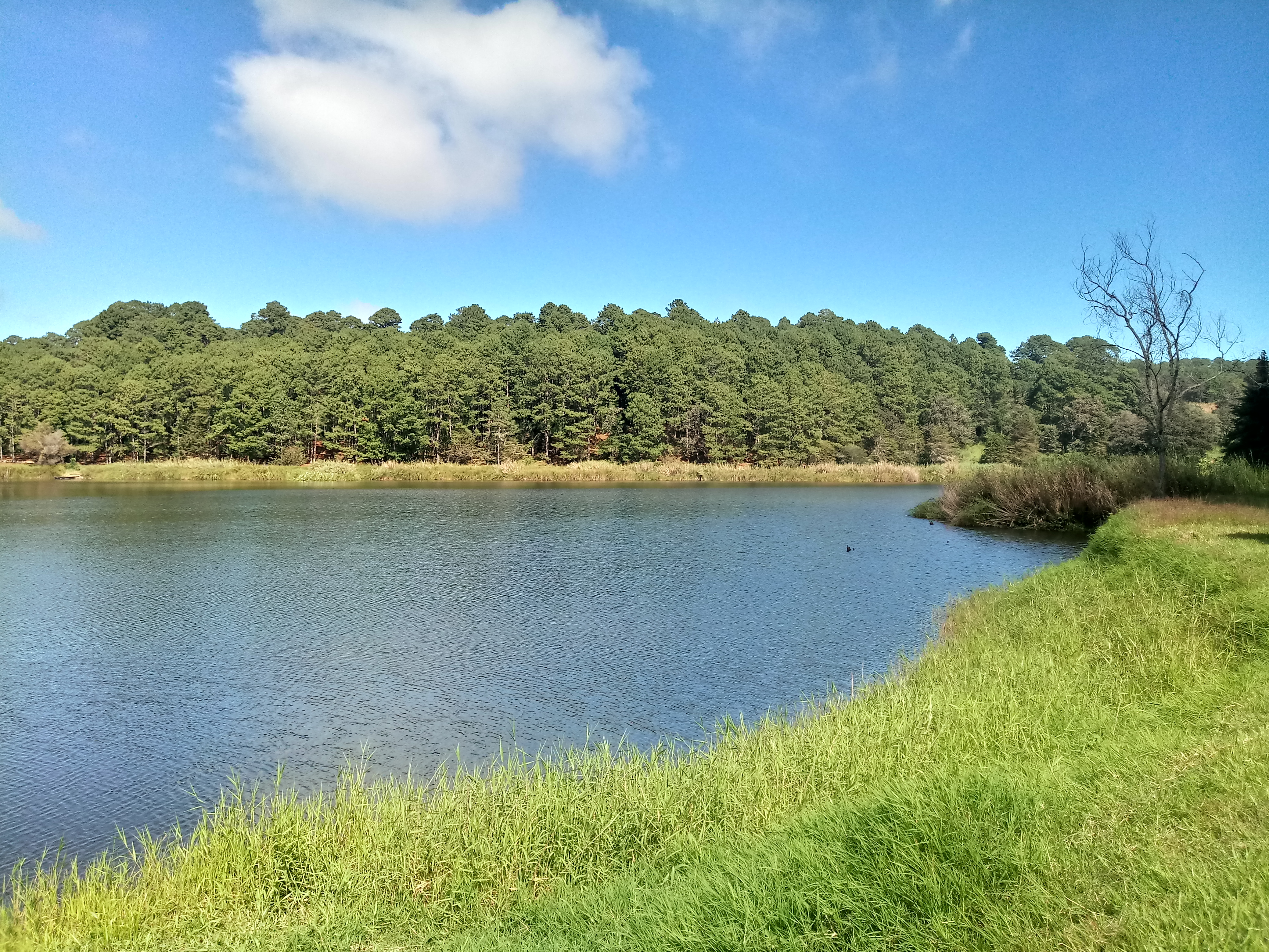 Restaurante Y Renta de Cabañas Laguna Encantada image 3