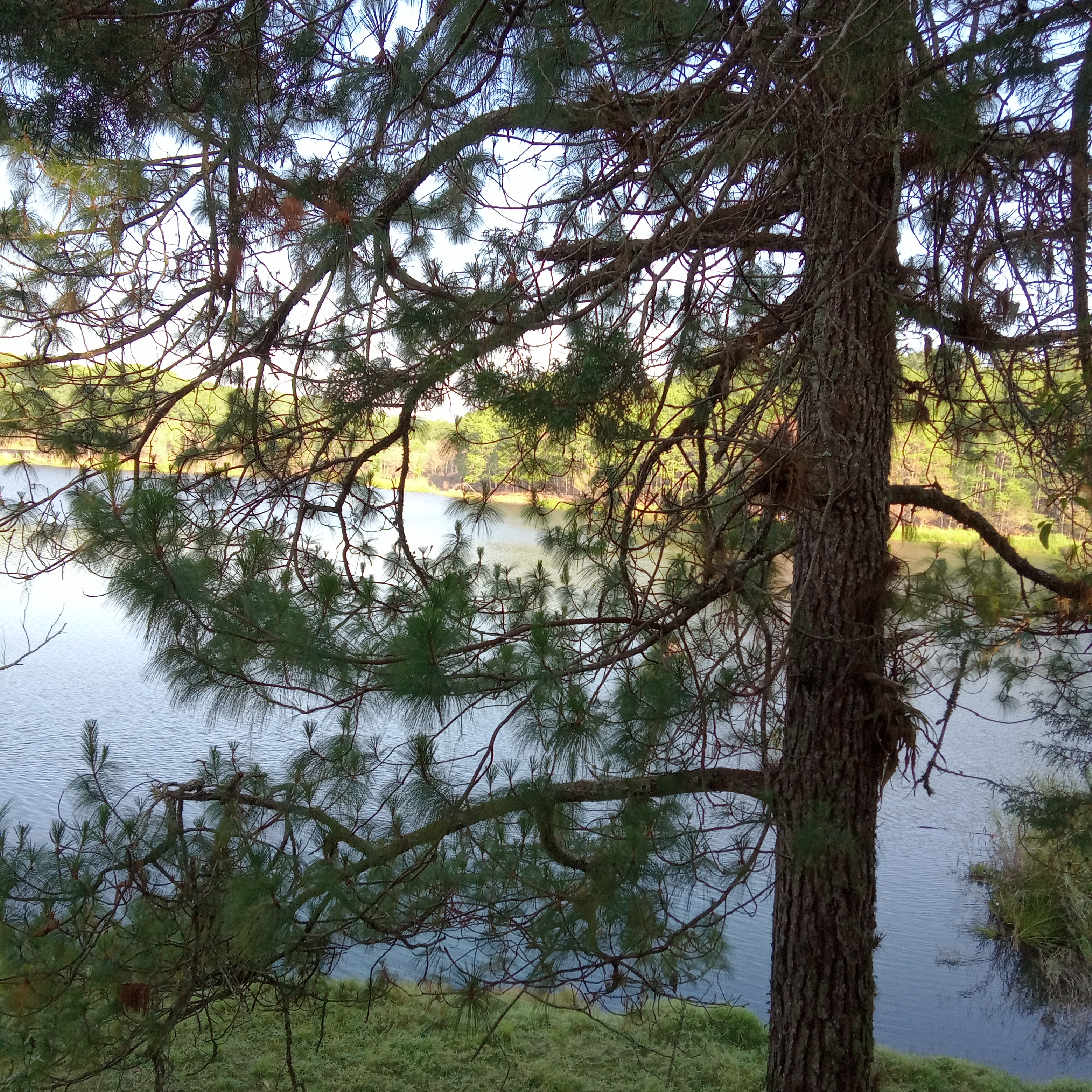 Restaurante Y Renta de Cabañas Laguna Encantada image 9