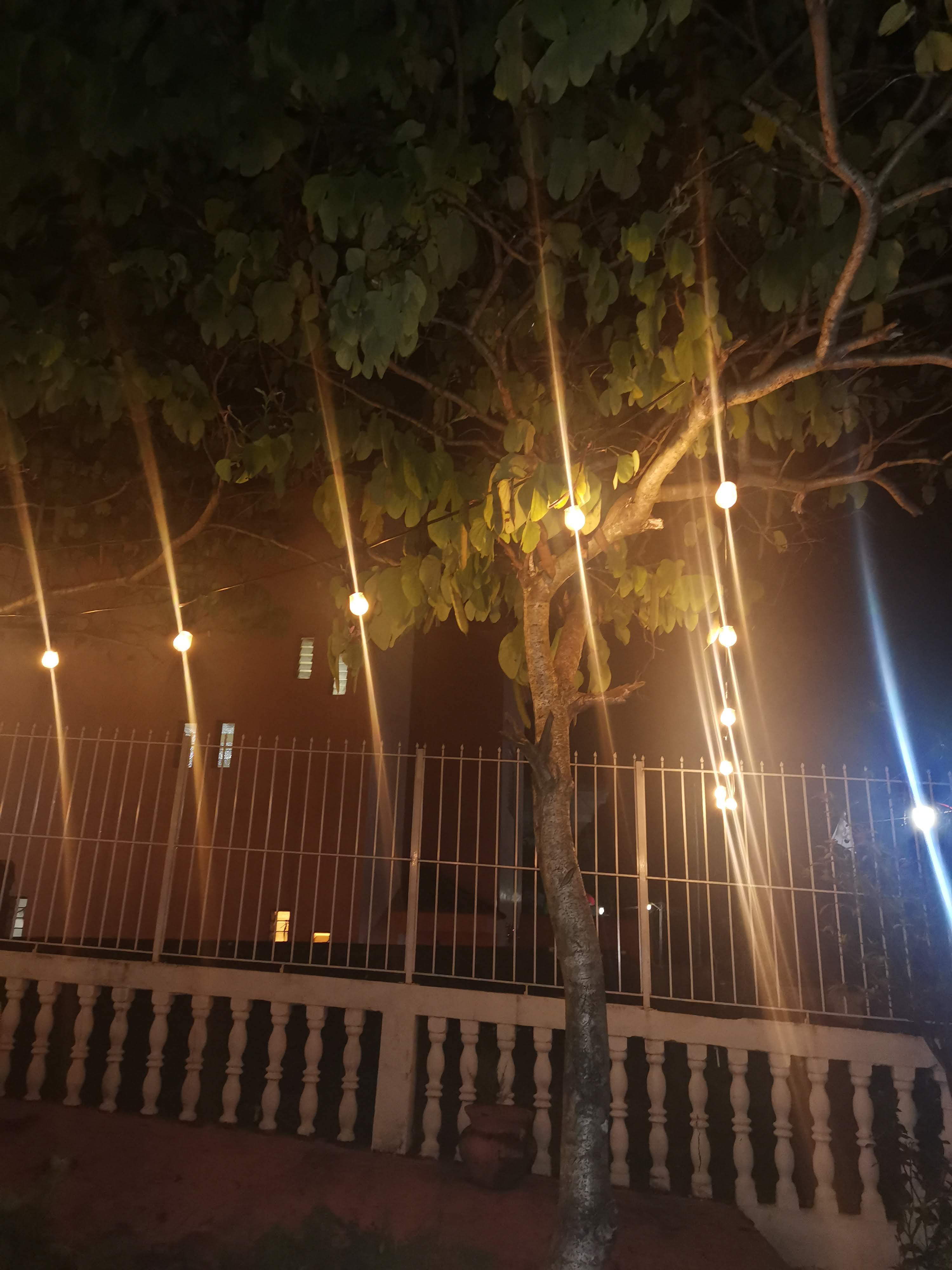 Palapita la Chocheria image 3