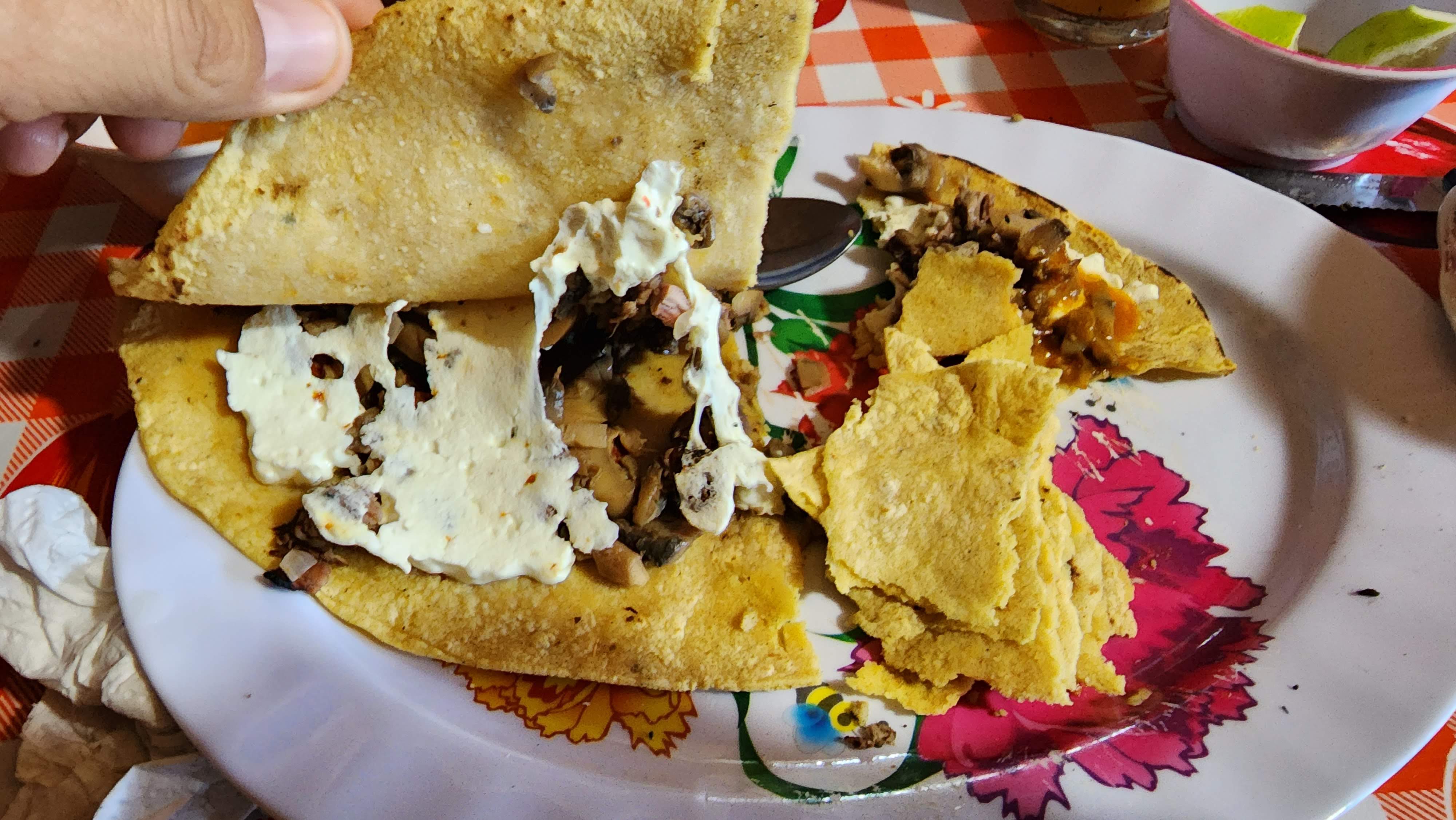 RESTAURANTE LOS ARBOLITOS image 2