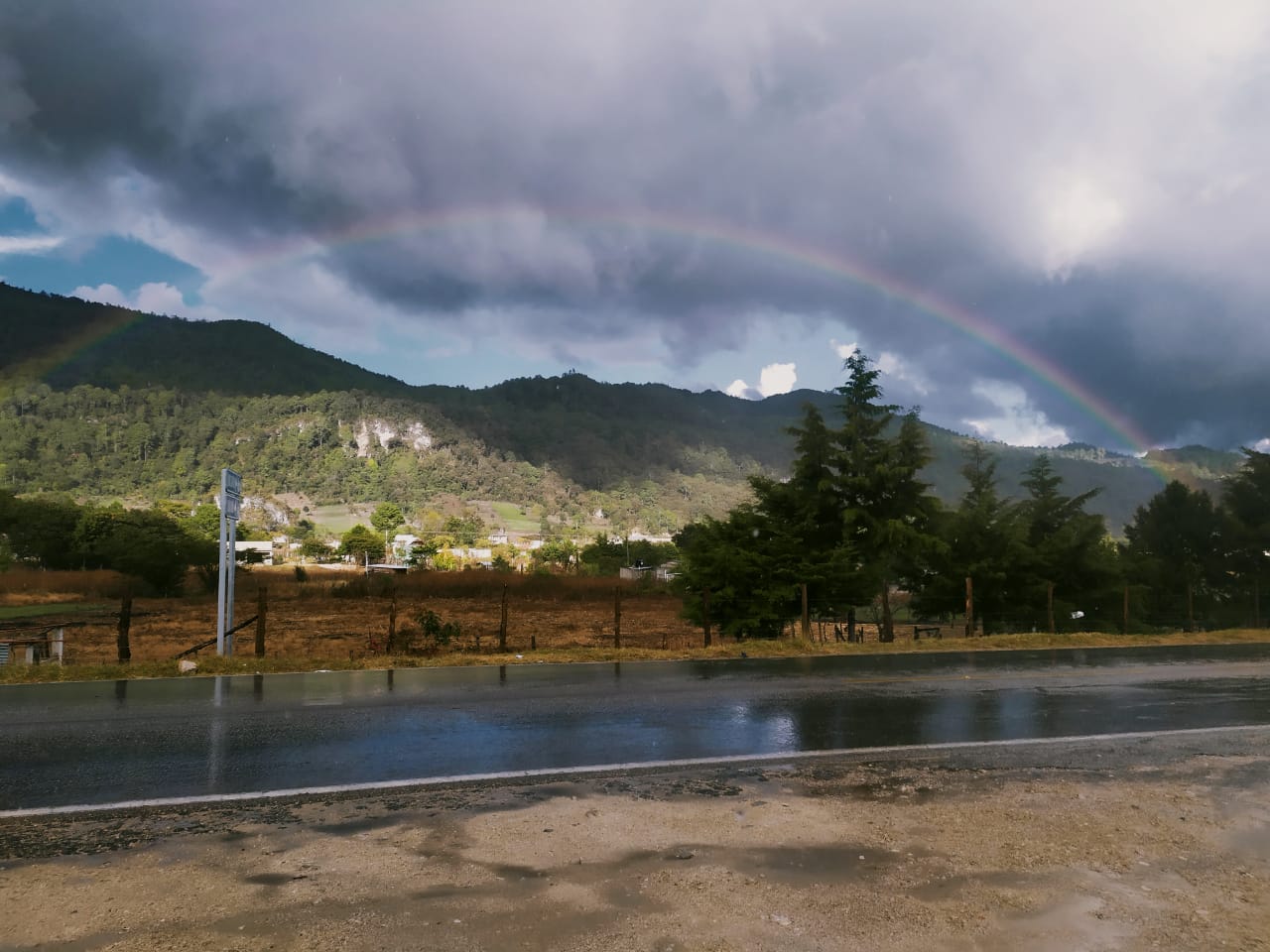 RESTAURANTE LOS ARBOLITOS image 8
