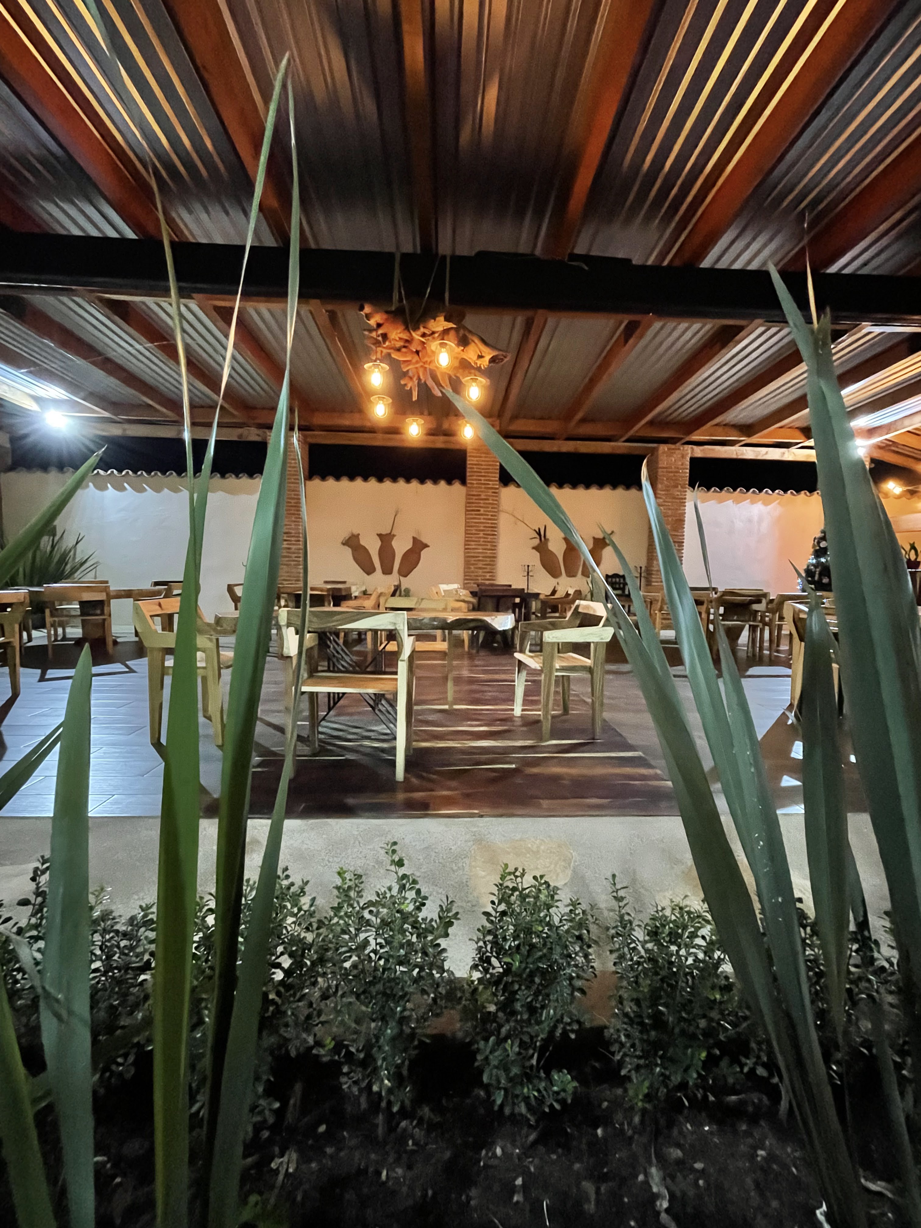 Celia restaurante image 5