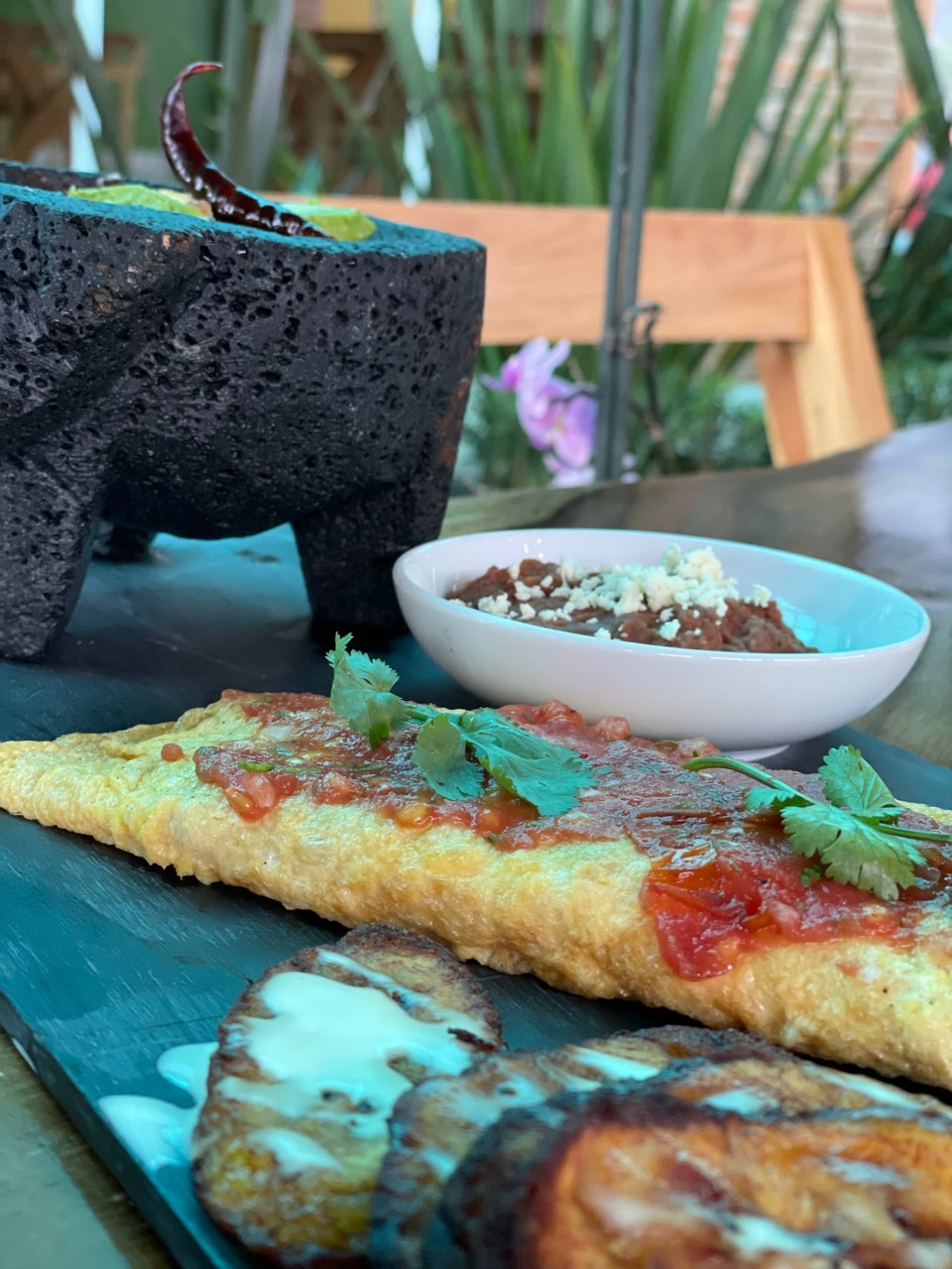 Celia restaurante image 10