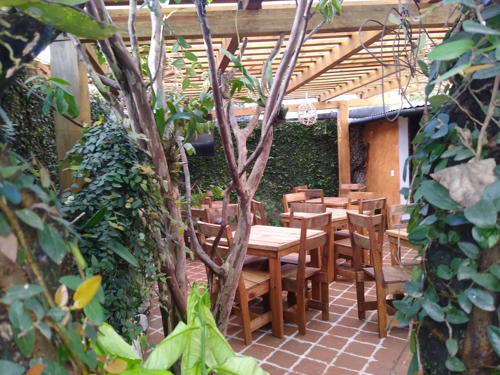 La Teopisqueña image 1