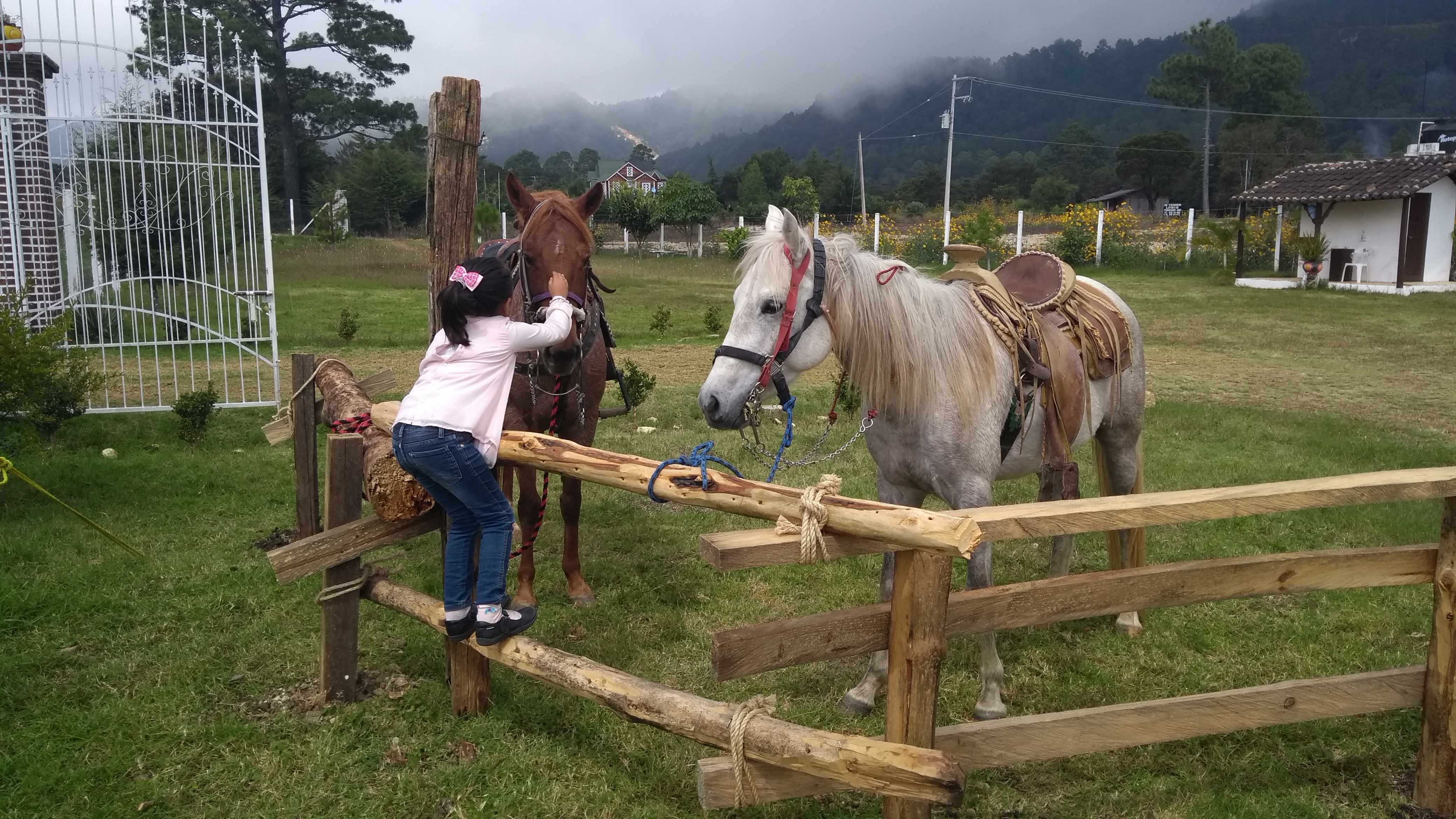 El Rincon Teopisqueño image 1