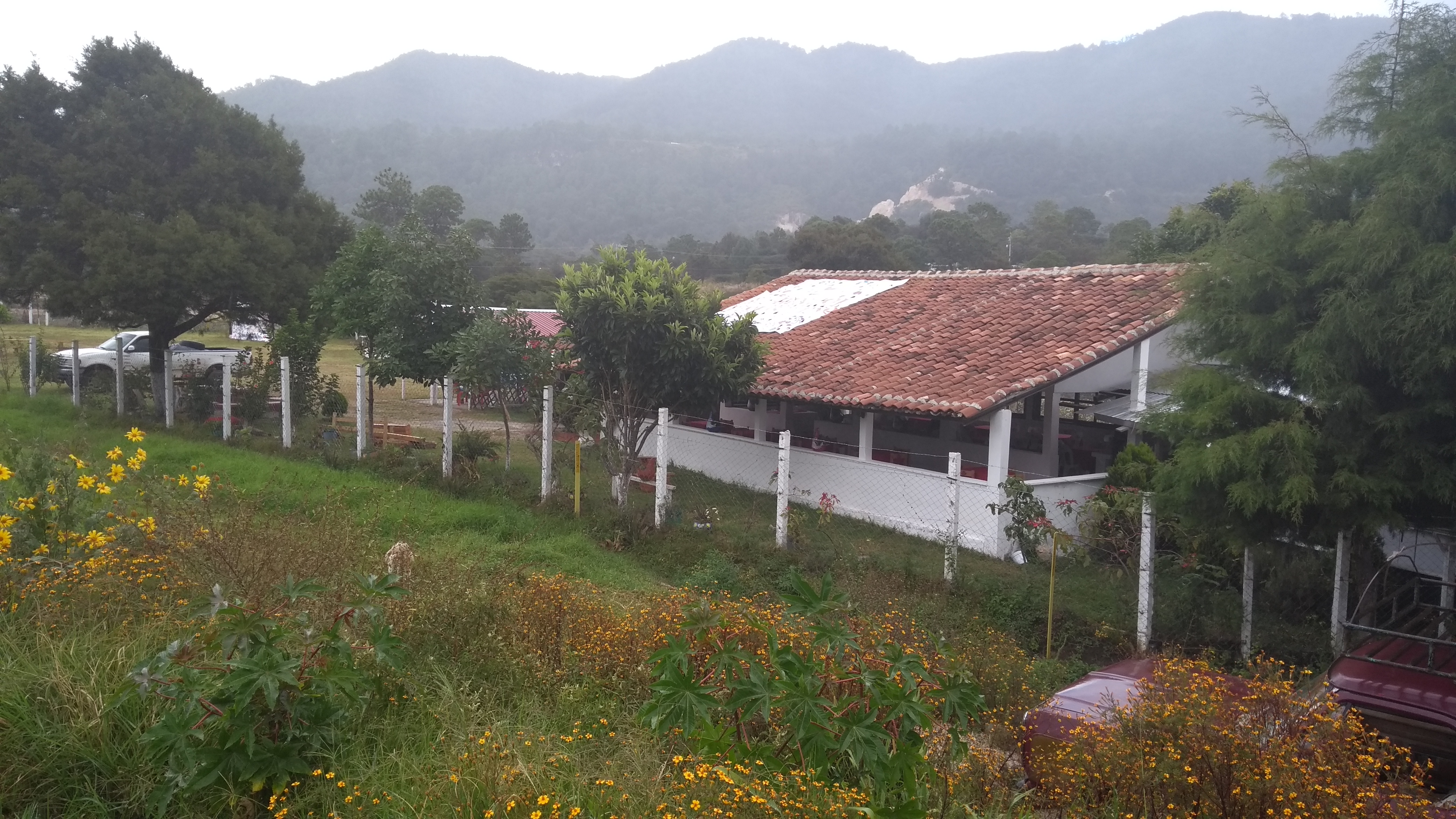 El Rincon Teopisqueño image 3