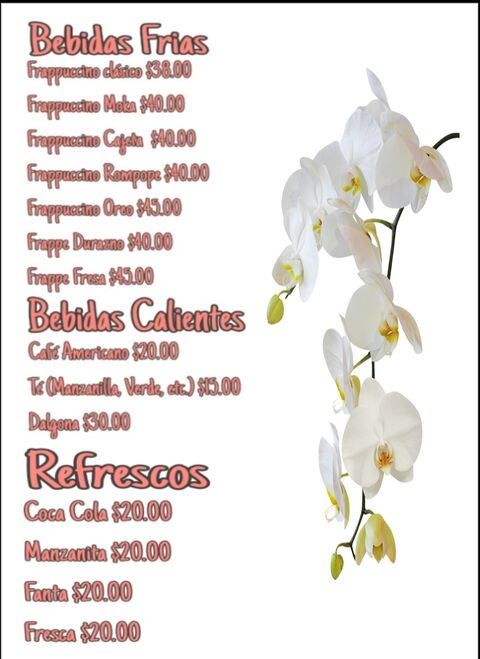 Antojeria La Flor de Teopisca image 5