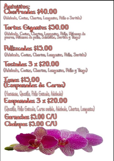 Antojeria La Flor de Teopisca image 7