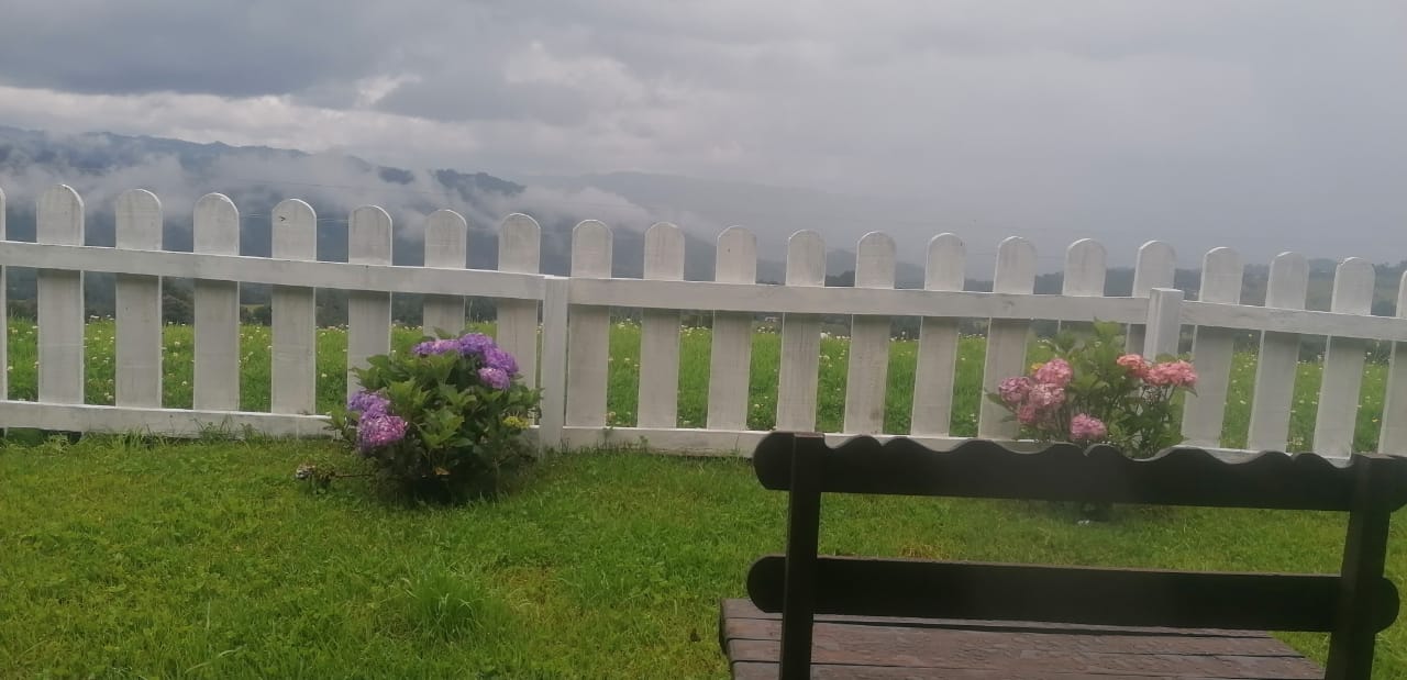 CASA MÍA "Restaurante-Pizzeria" image 4