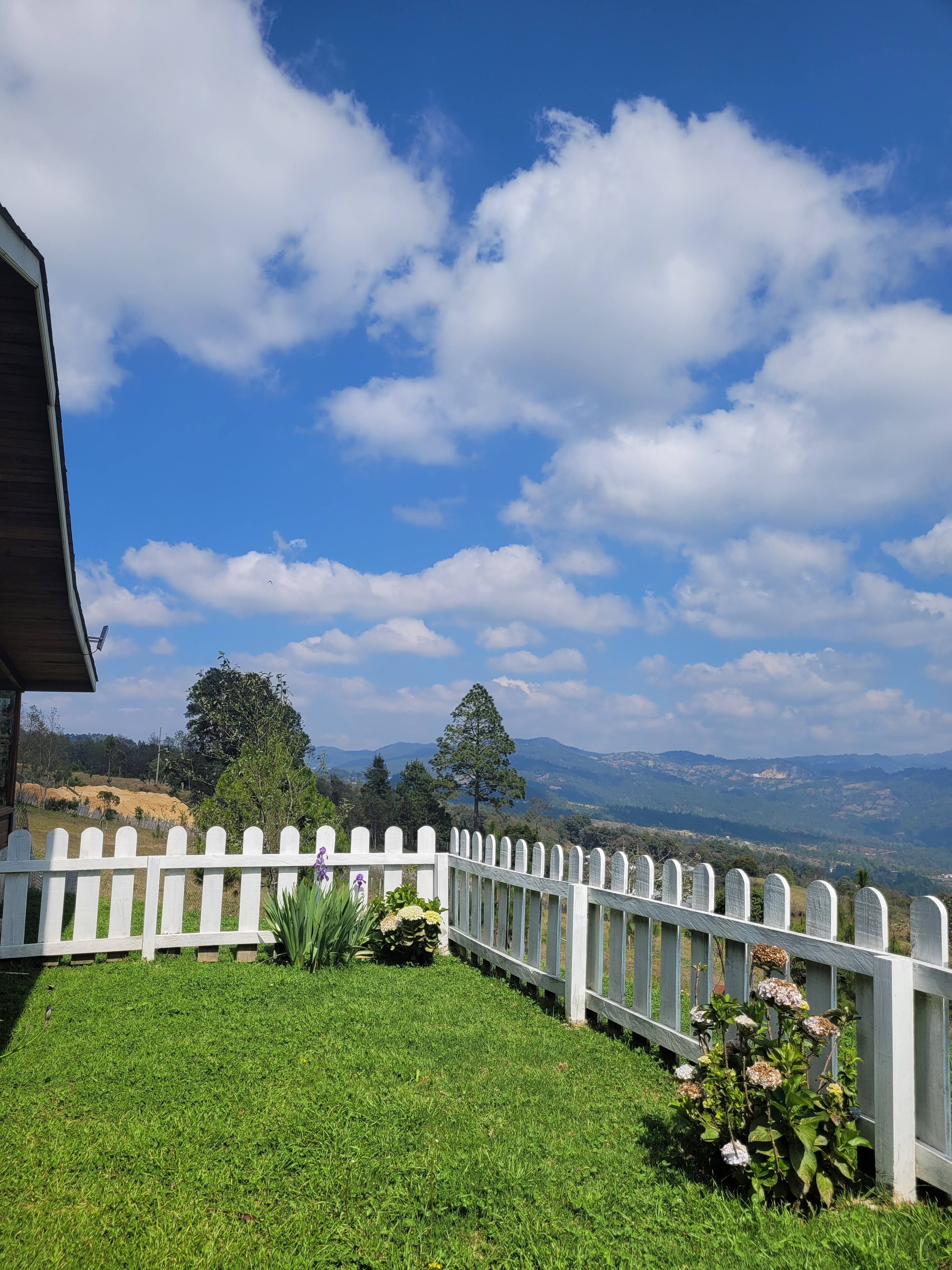 CASA MÍA "Restaurante-Pizzeria" image 5