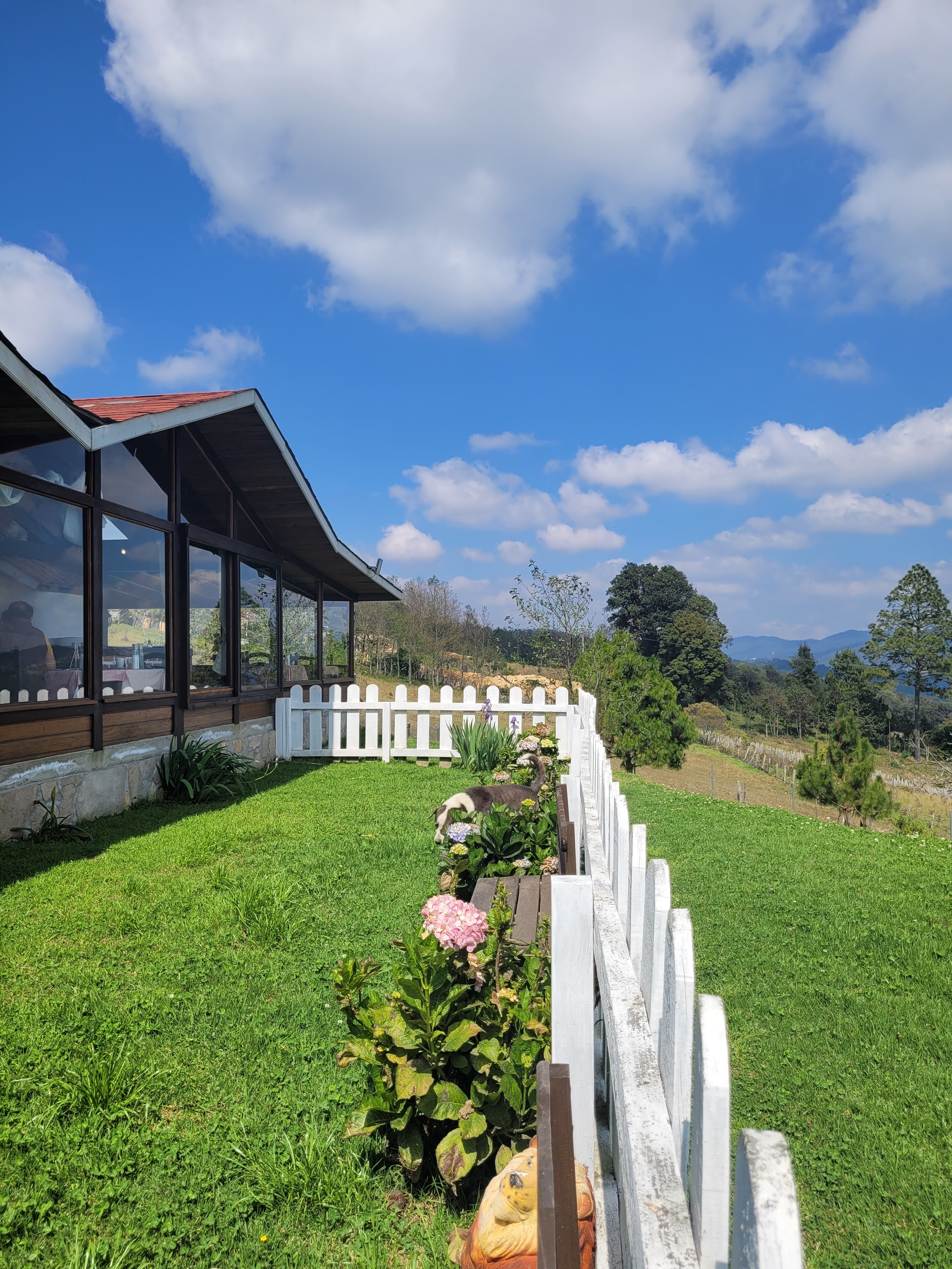 CASA MÍA "Restaurante-Pizzeria" image 6