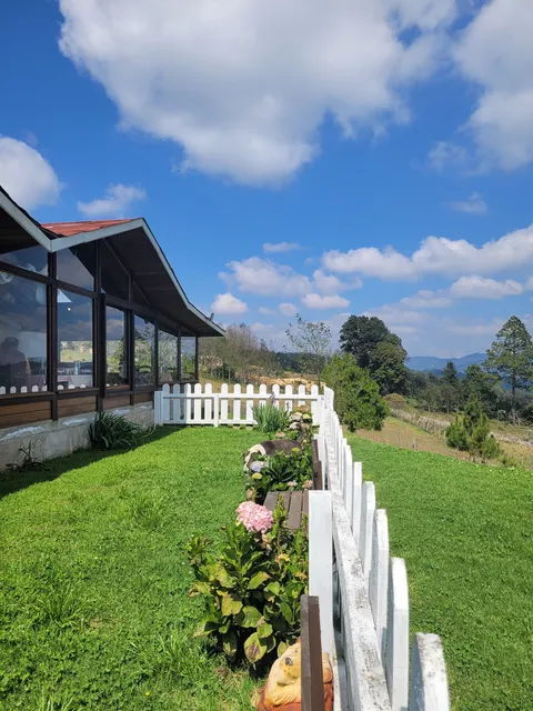 CASA MÍA "Restaurante-Pizzeria" image 6