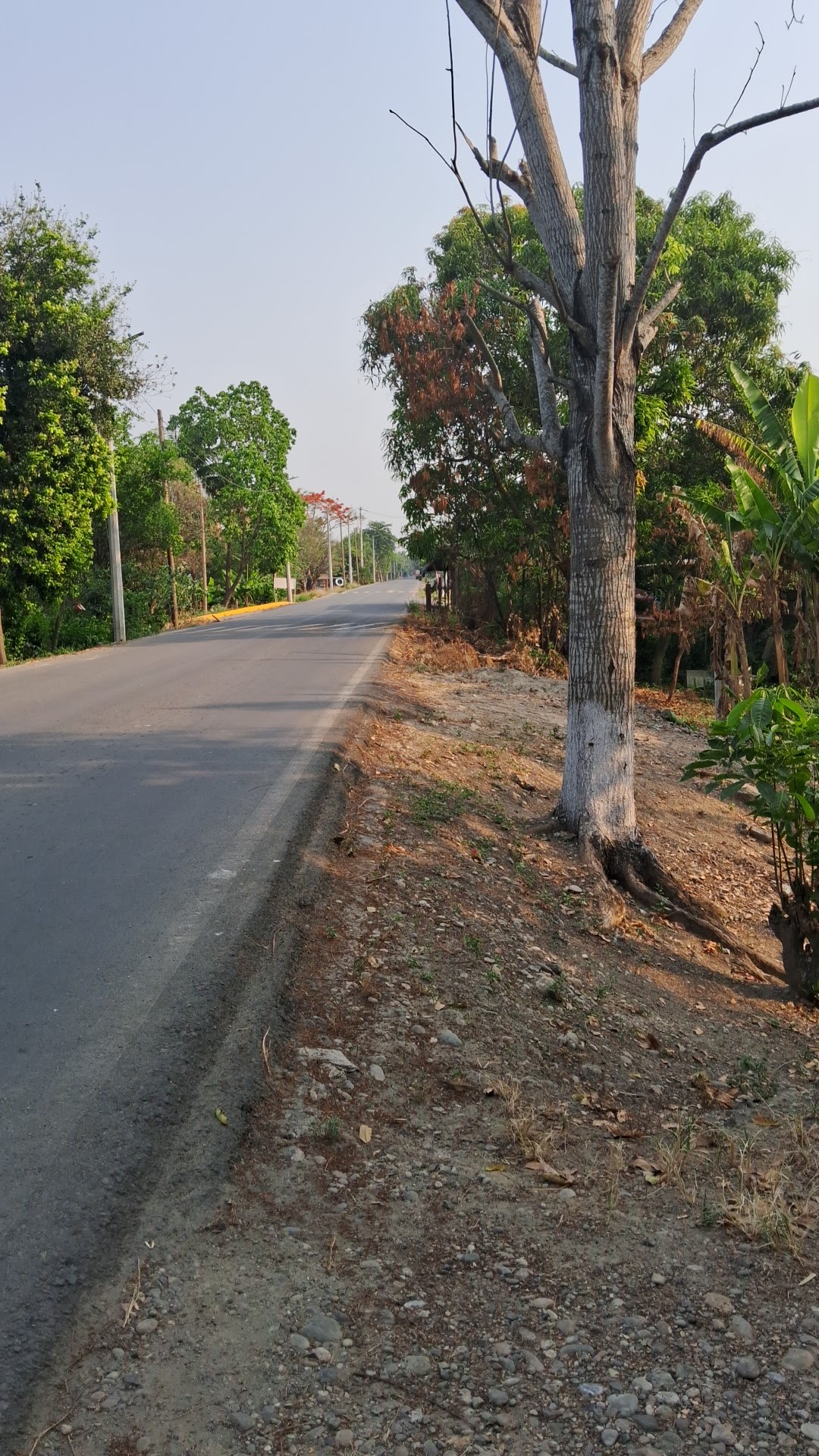 Restaurante el cedral image 2