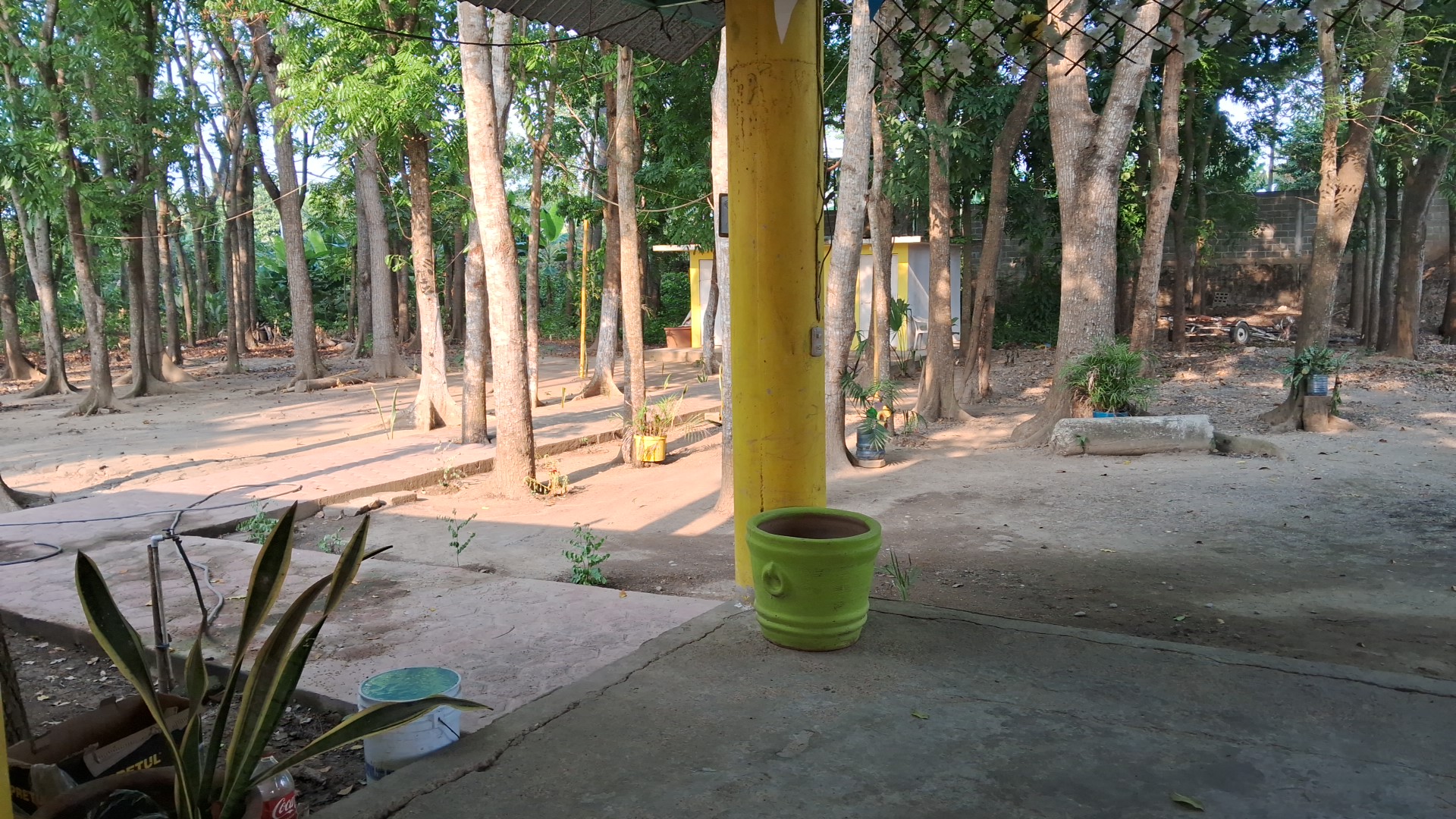 Restaurante el cedral image 3