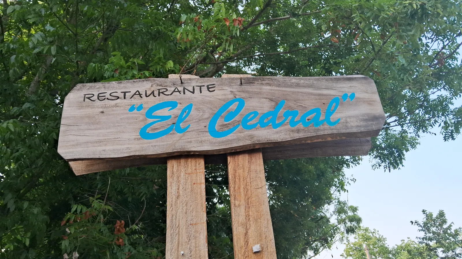 Restaurante el cedral image 4