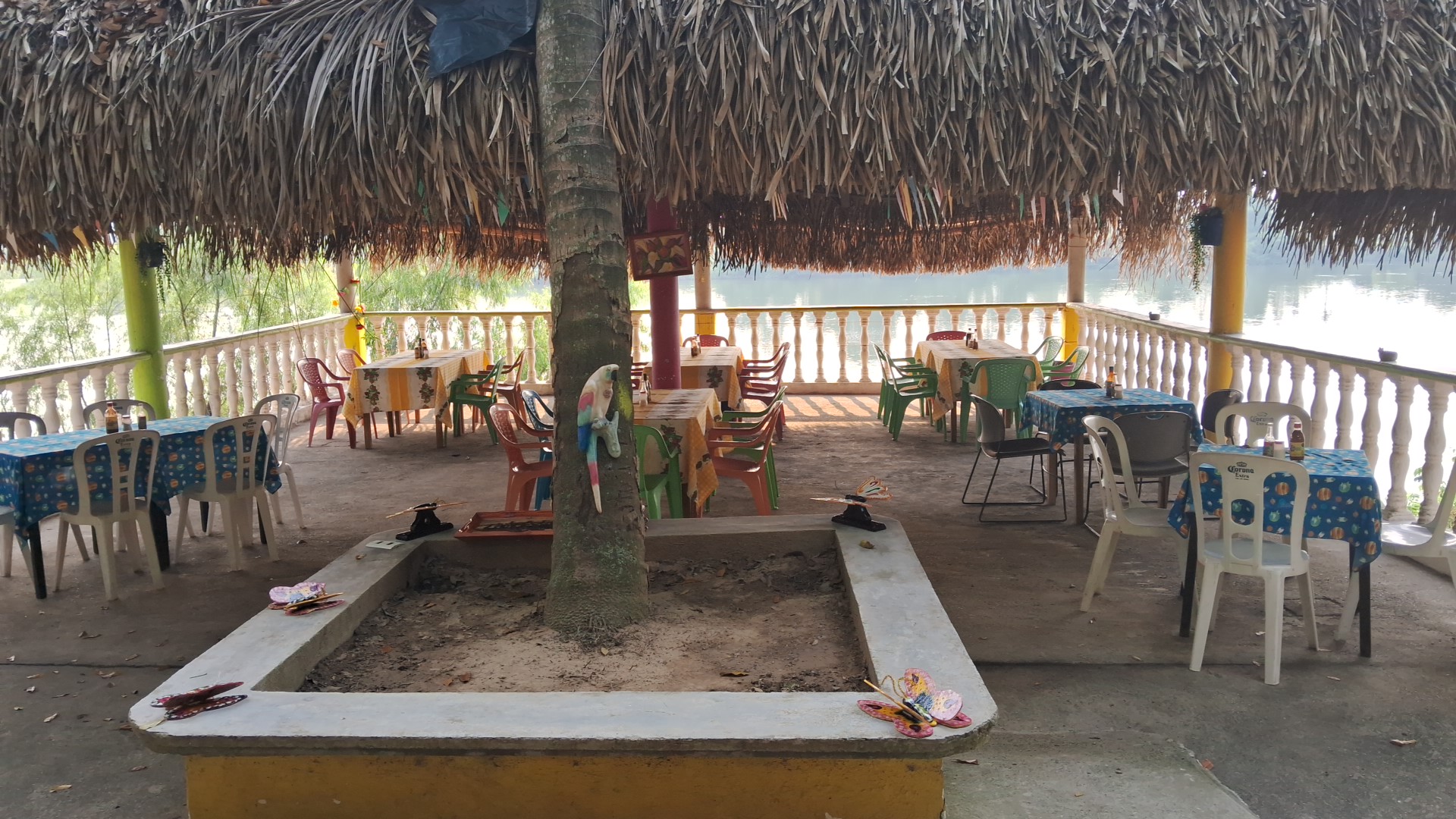 Restaurante el cedral image 6