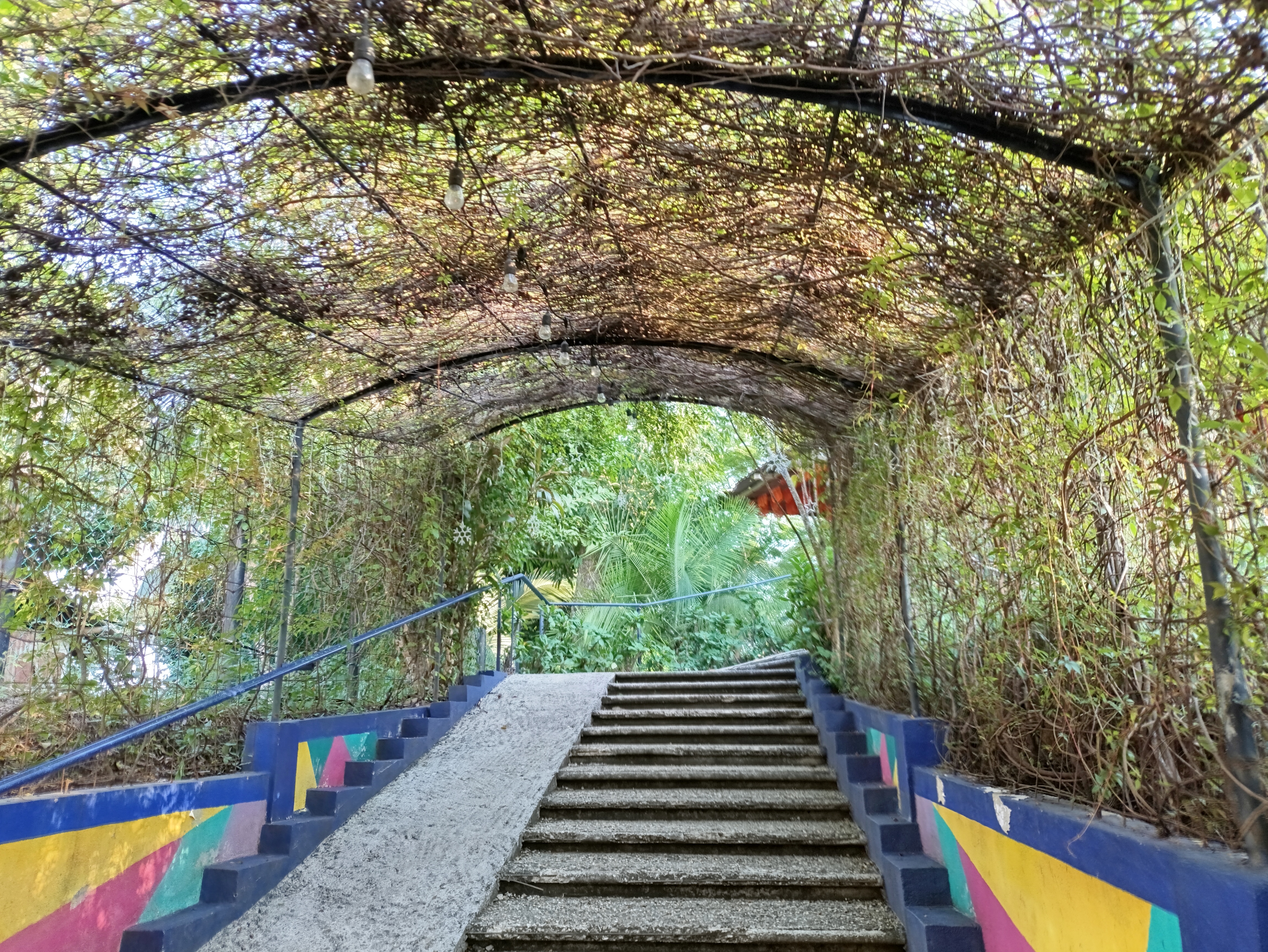 Saboreando Oaxaca image 3