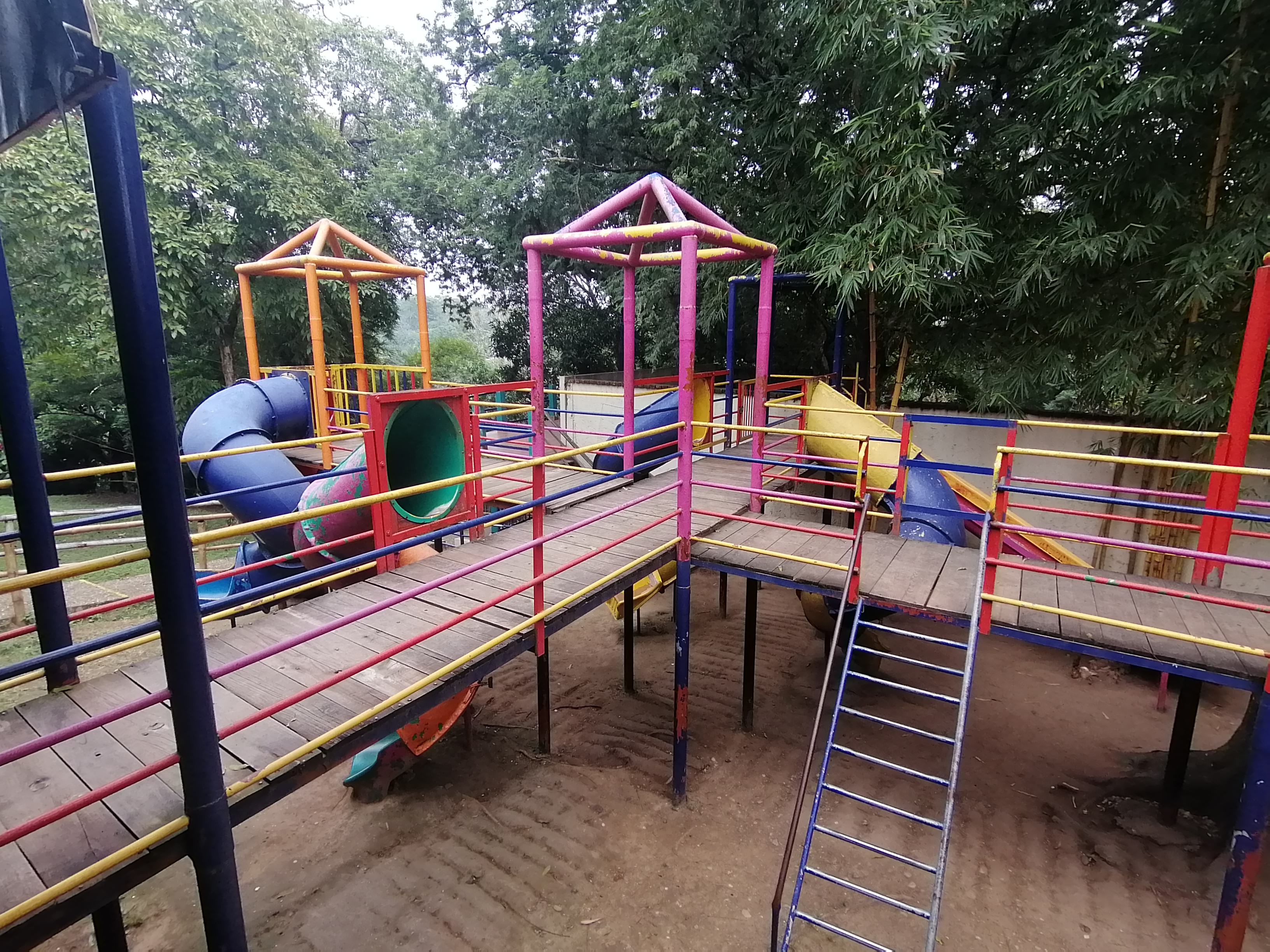 Saboreando Oaxaca image 9