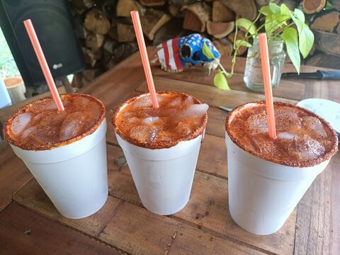 El borrego santuareño image 1