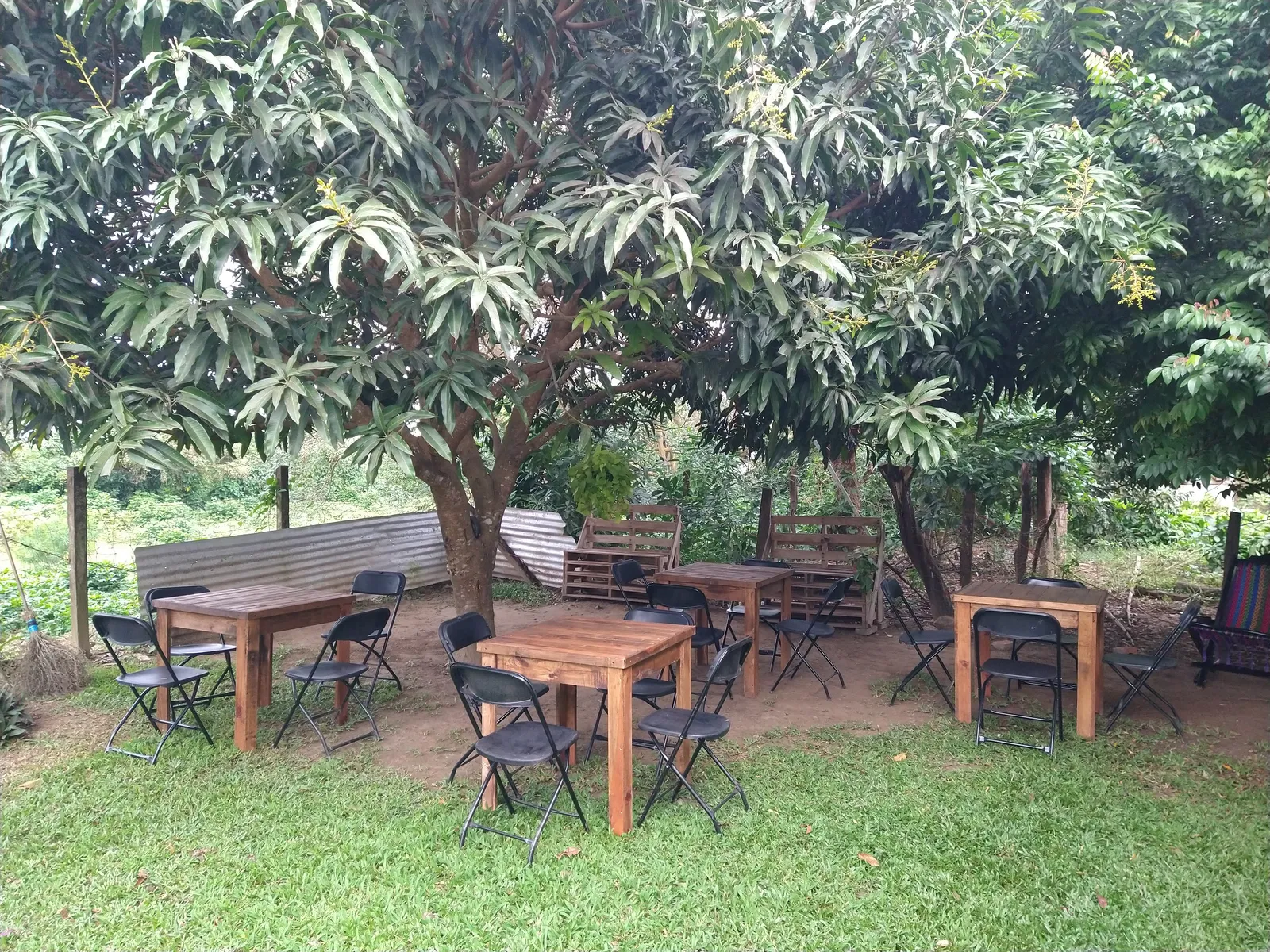 El borrego santuareño image 2