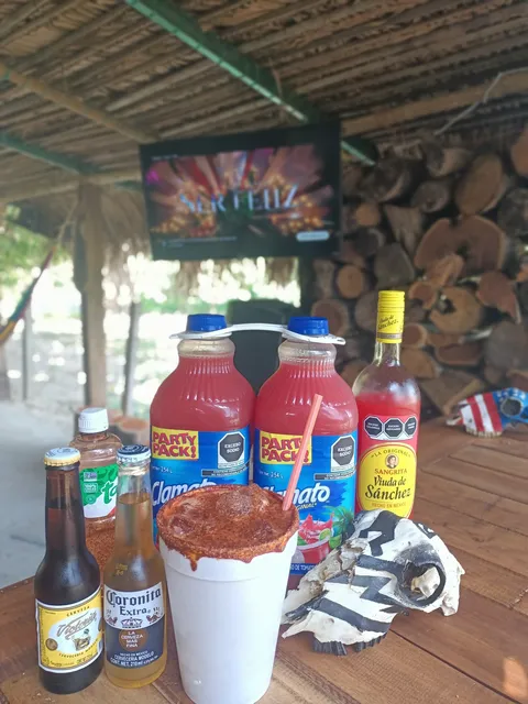 El borrego santuareño image 3