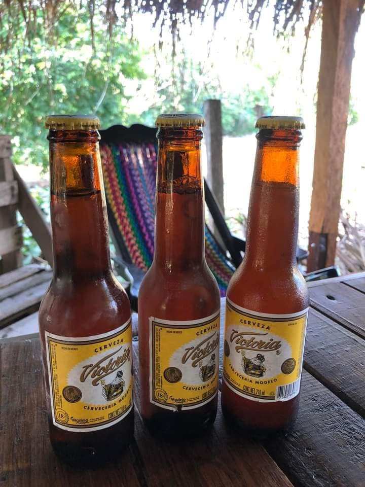 El borrego santuareño image 9