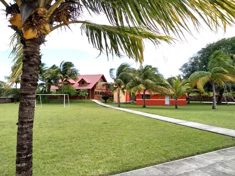 Oscar Gomez image 2