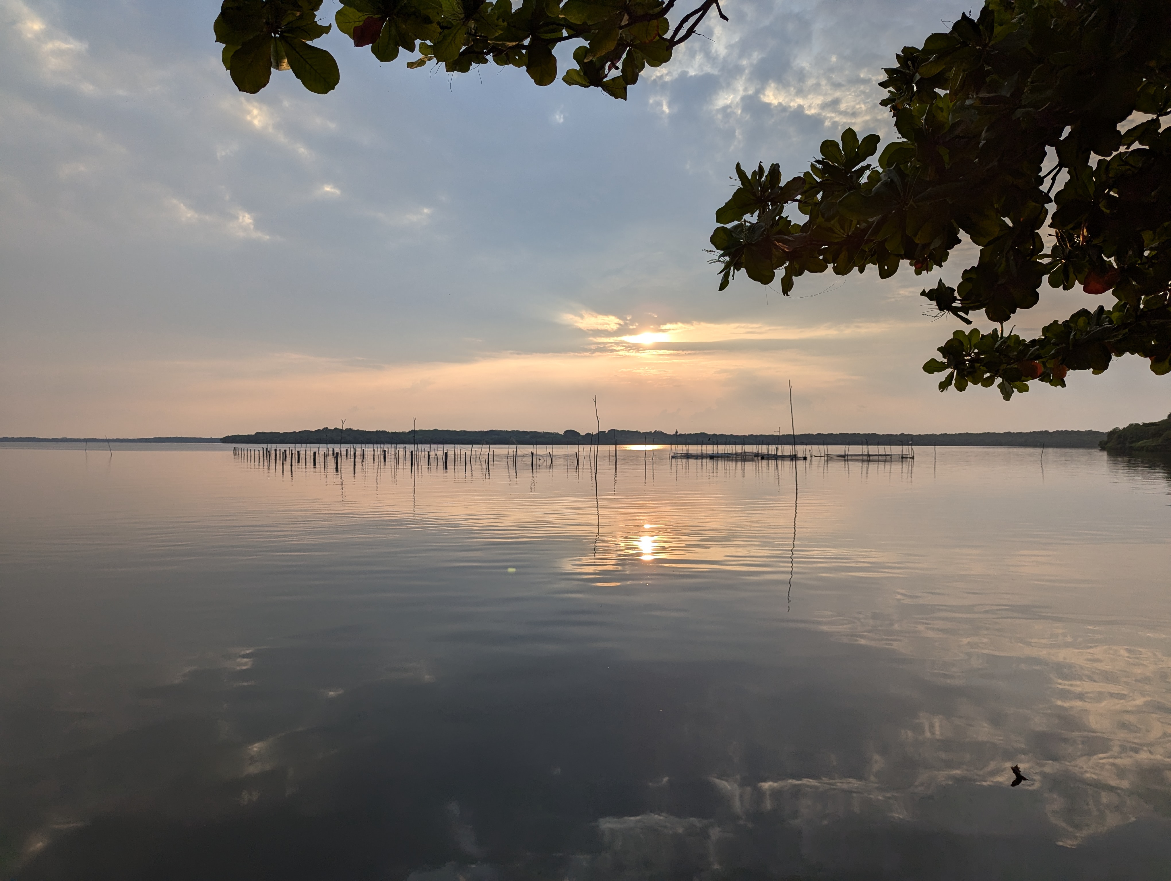 El Rinconcito image 3