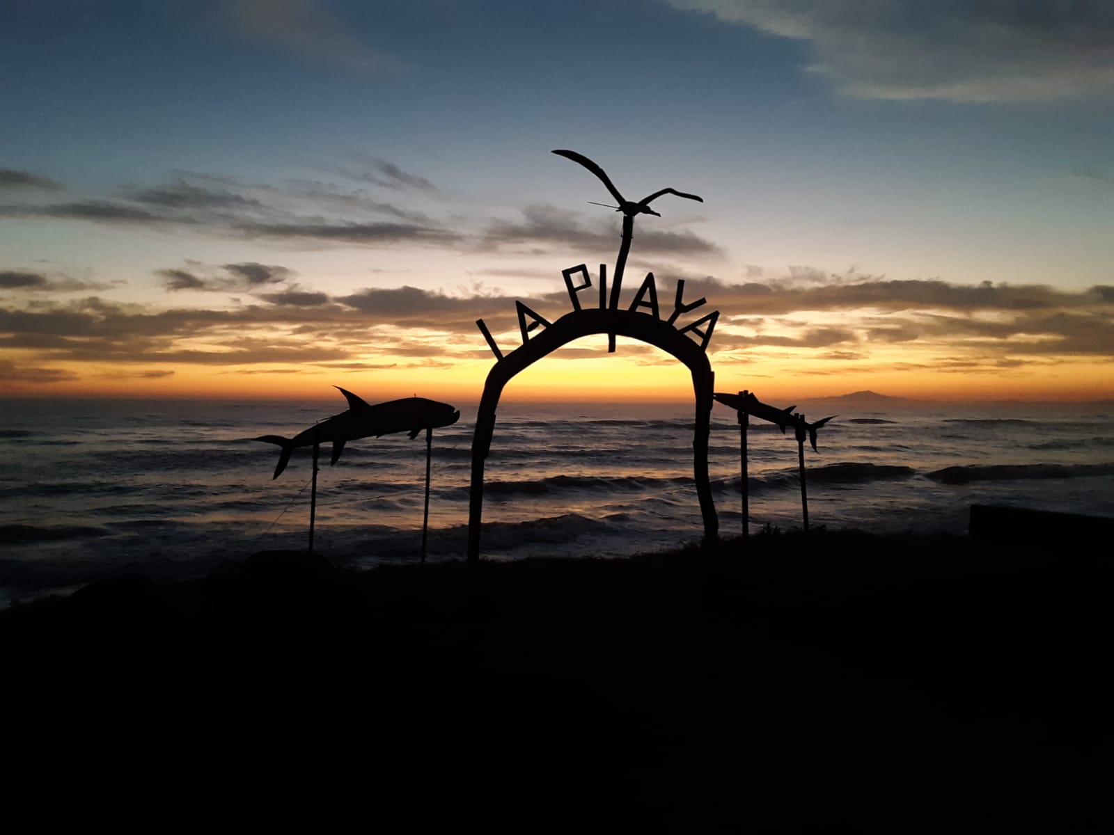 Restaurante la Gaviota image 4