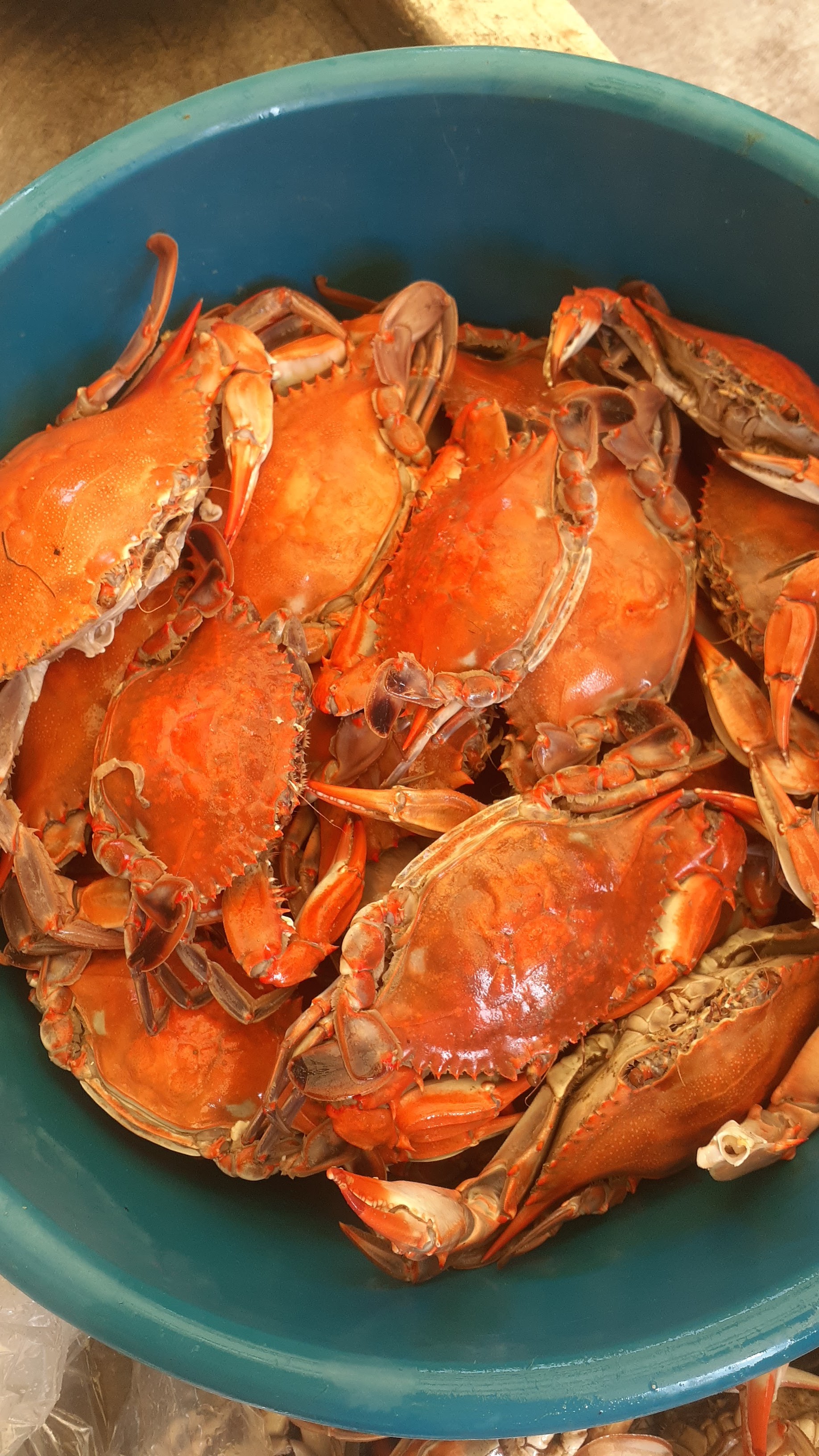 Restaurante la Gaviota image 6