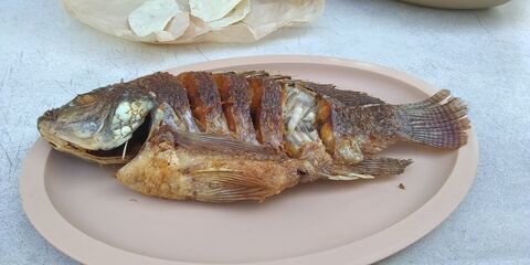 La Sirenita image 2