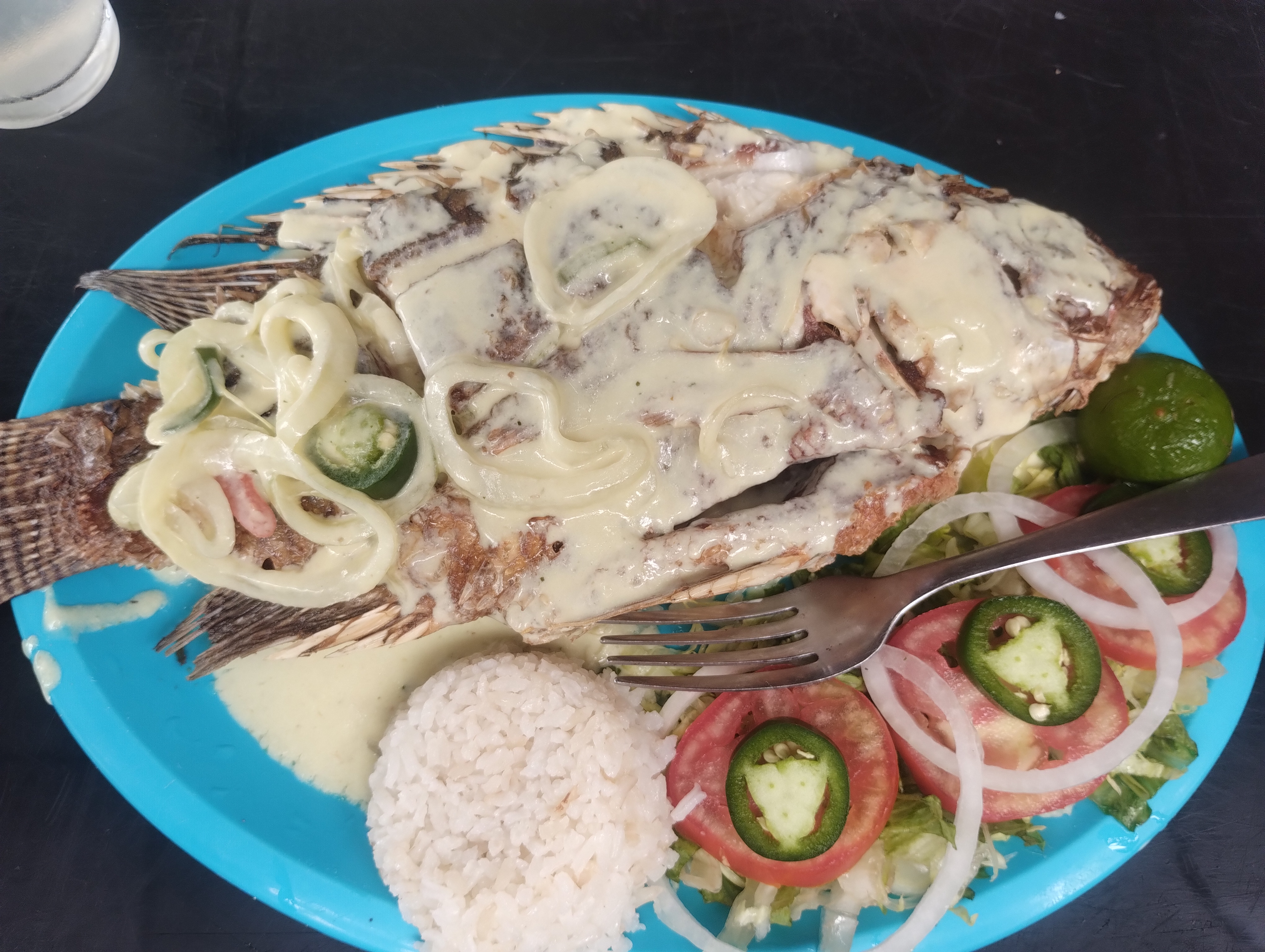 Restaurante y cocktalería Mago image 9