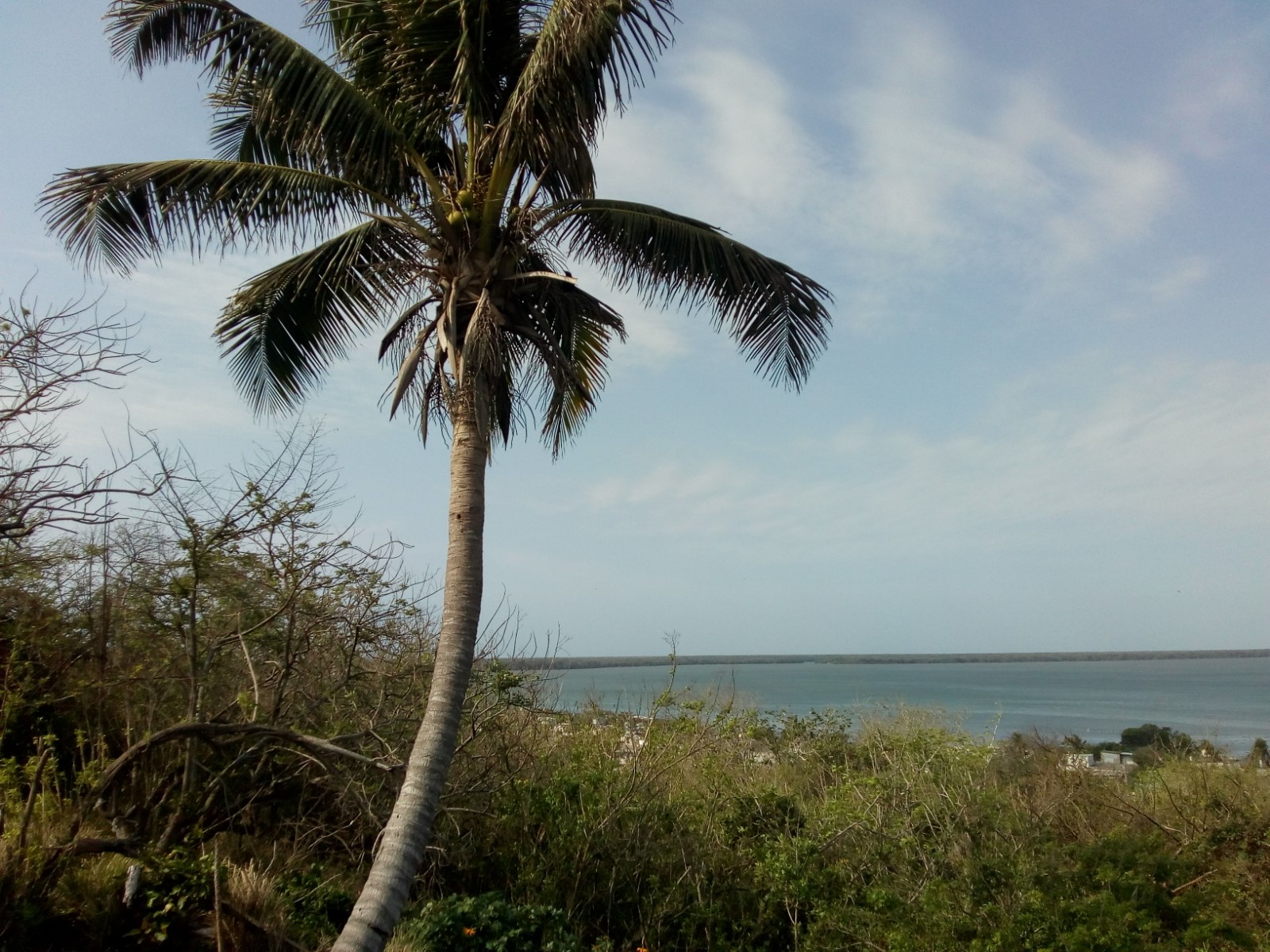 Restaurante Tella image 9