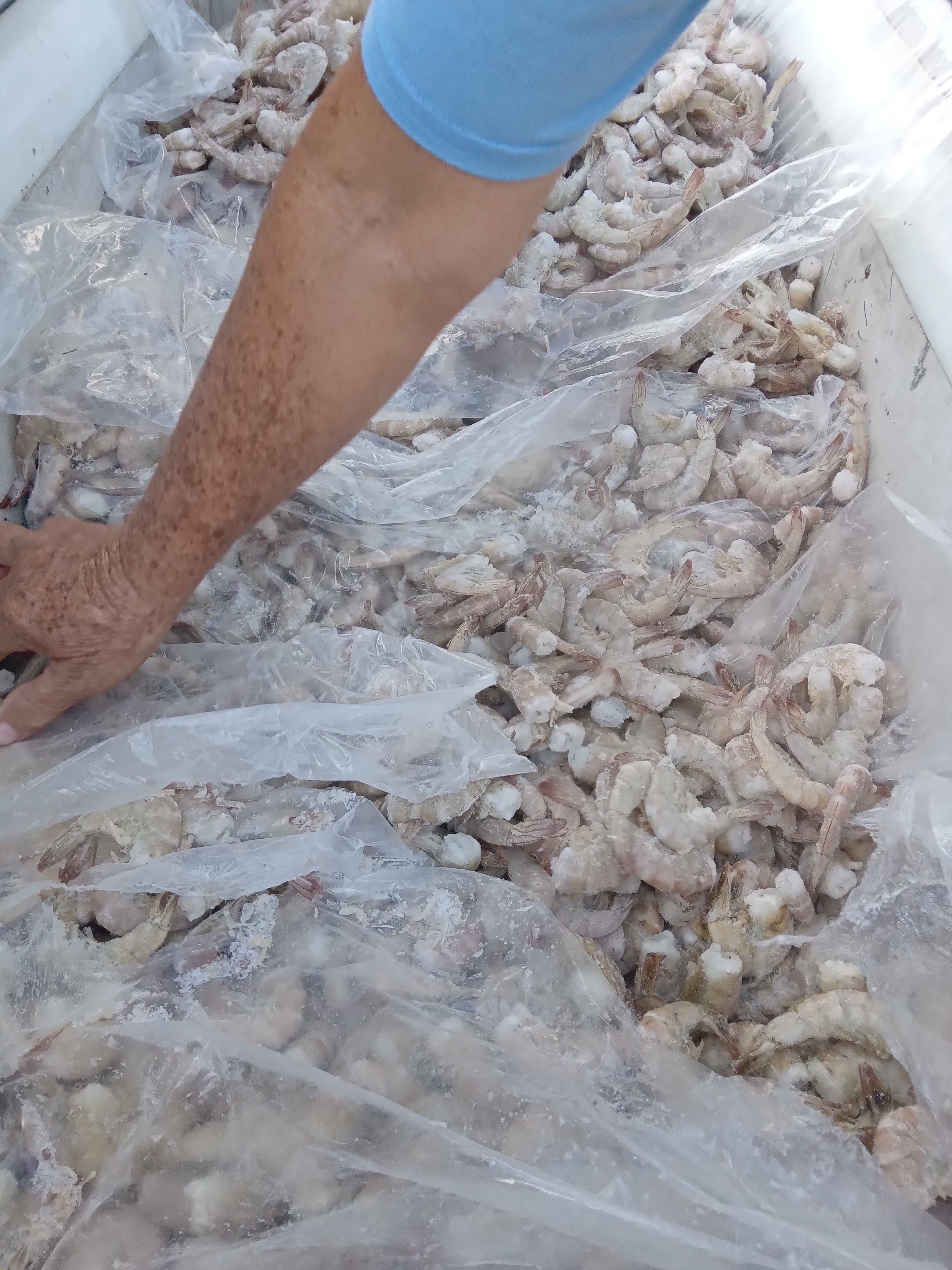 Pescados y maricos image 3