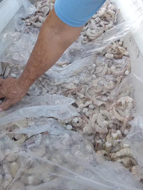 Pescados y maricos image 3