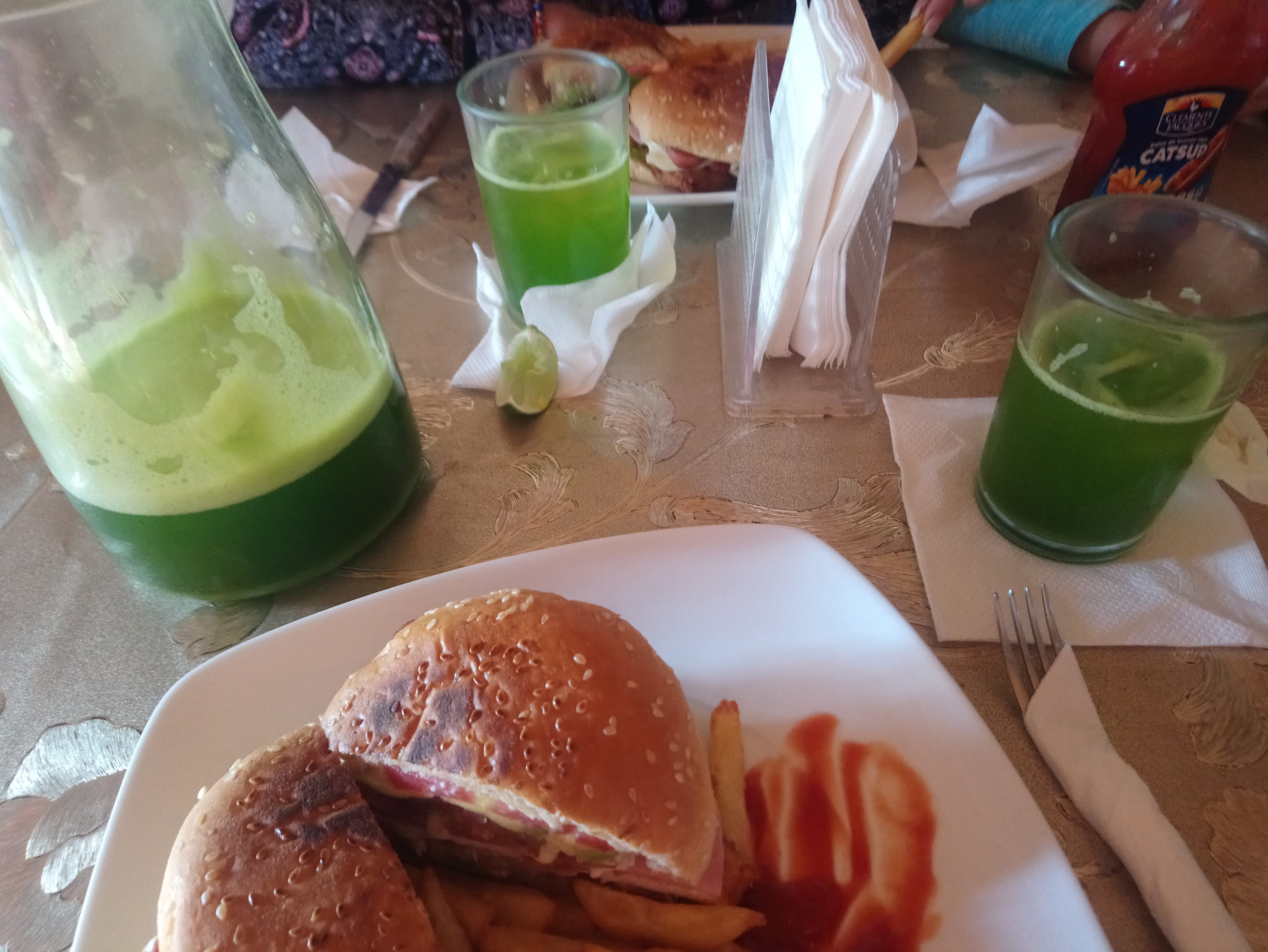 Cocina Economica "Zibal-kuh" image 7