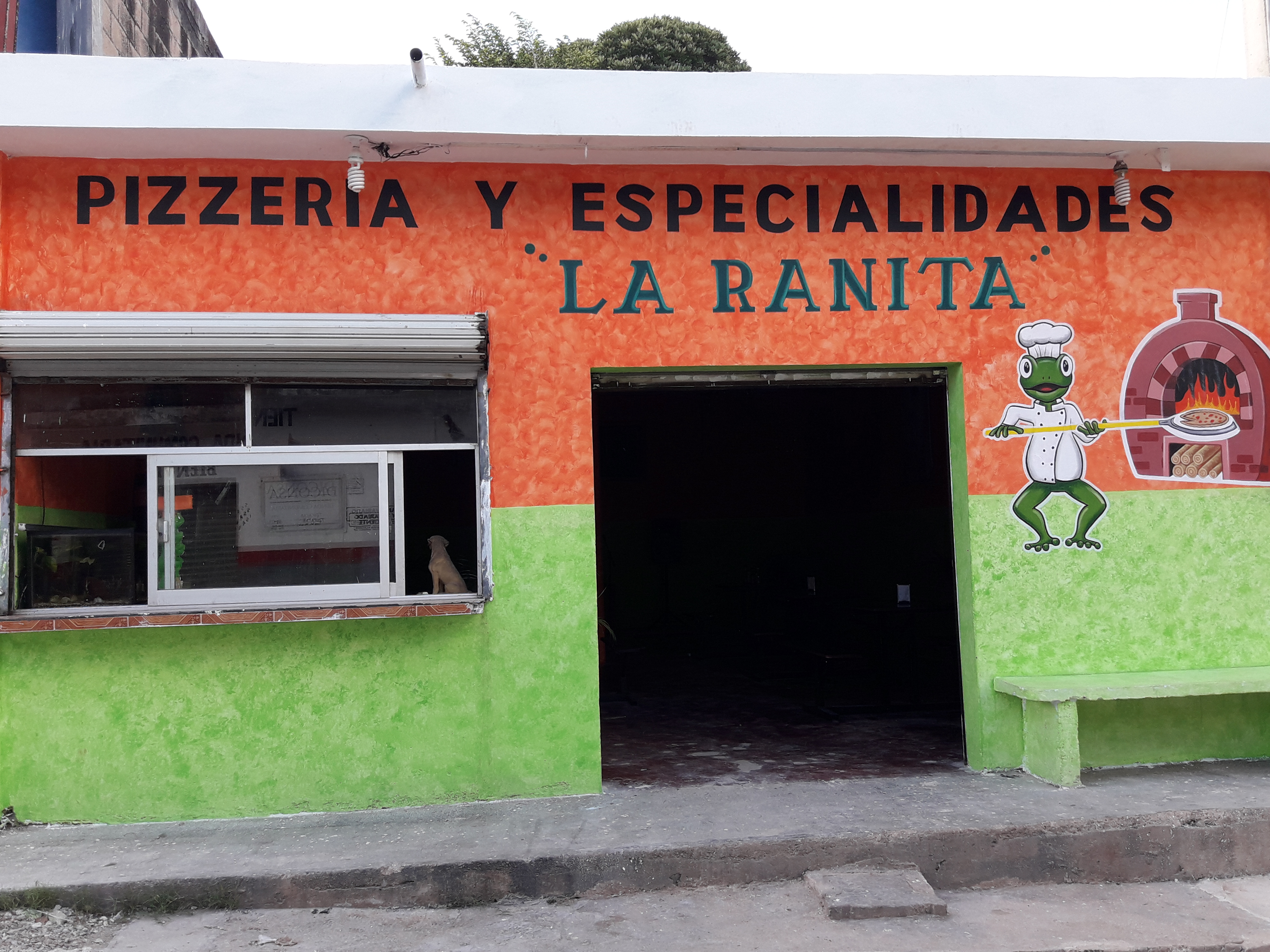 Pizzería La Ranita image 7