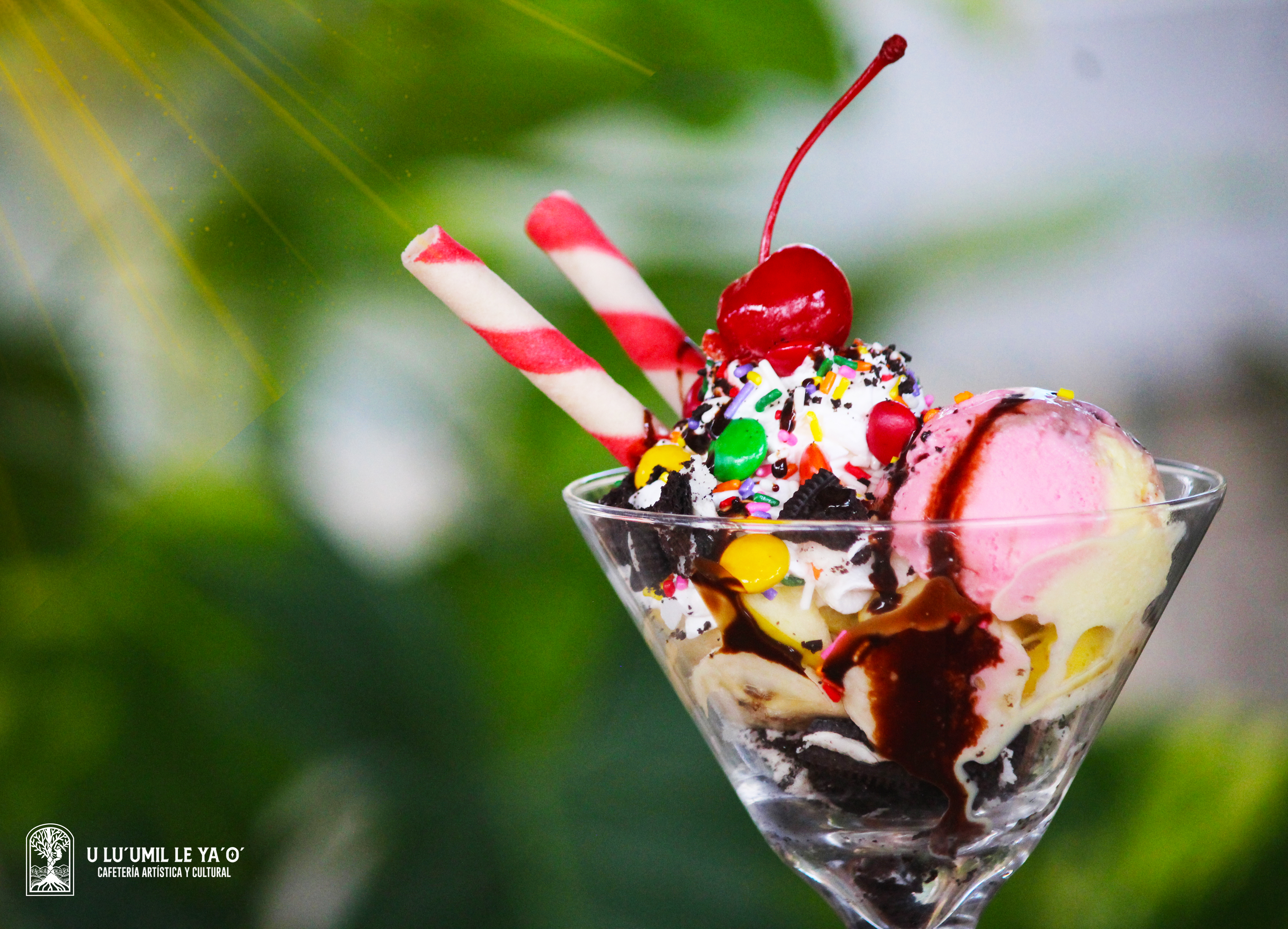 U LU'UMIL LE YA'O' image 2