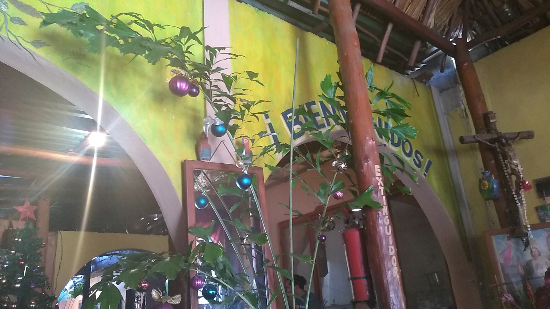 Carnes Asadas "Mr. Samy" image 10