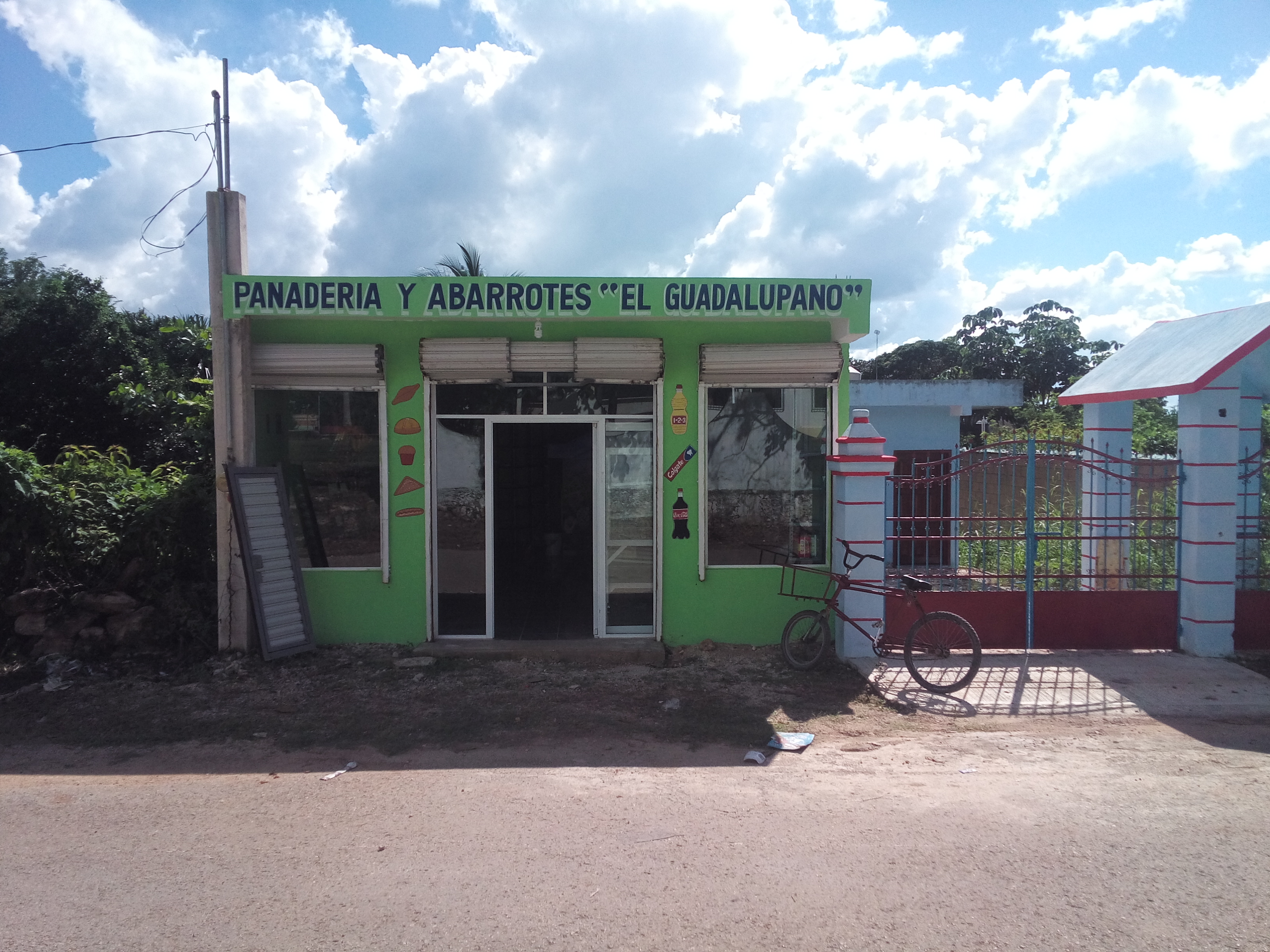 "El Guadalupano" image 1