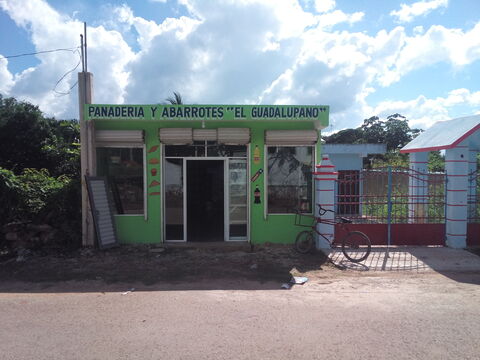 "El Guadalupano" image 1