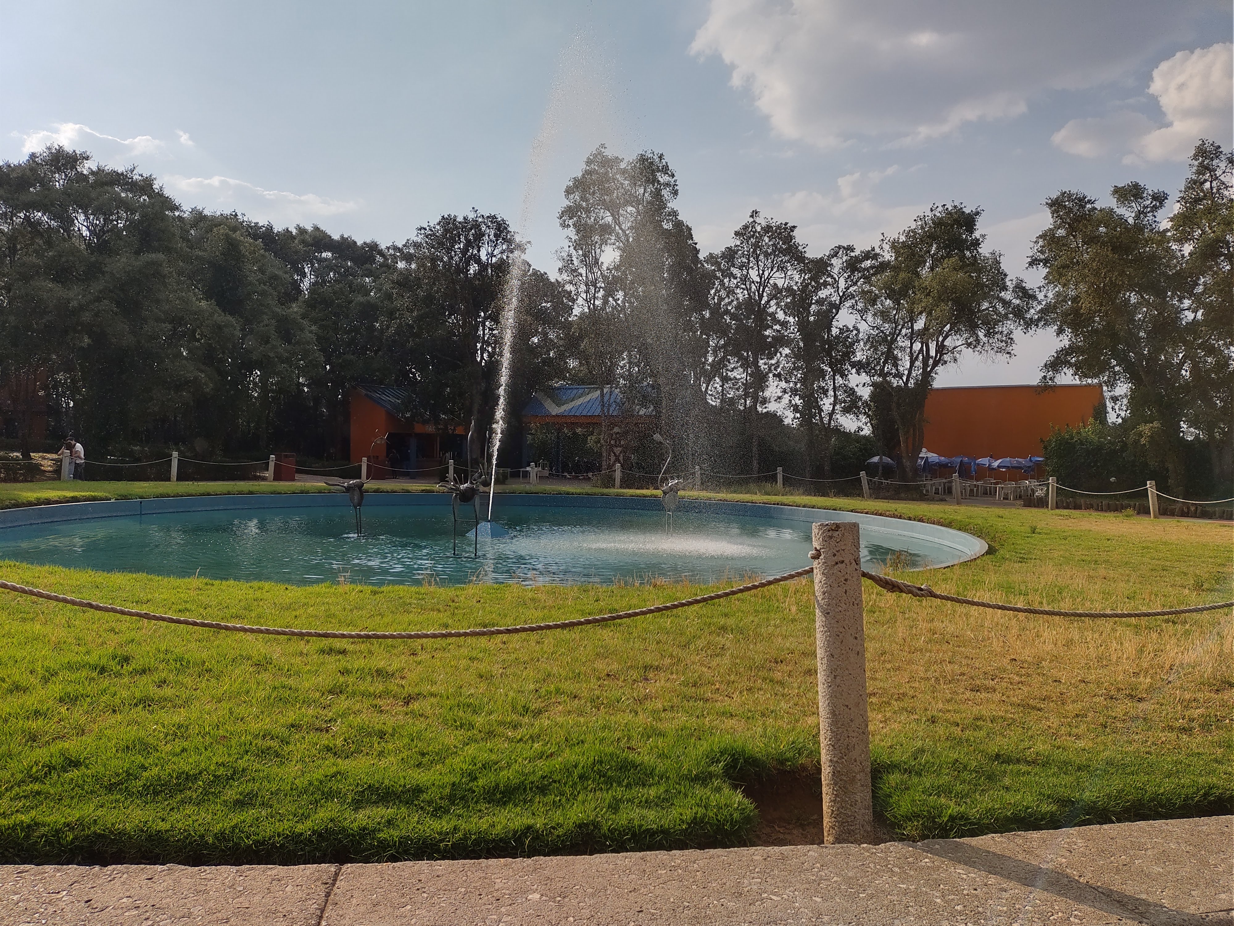 Restaurant El Quinte image 3