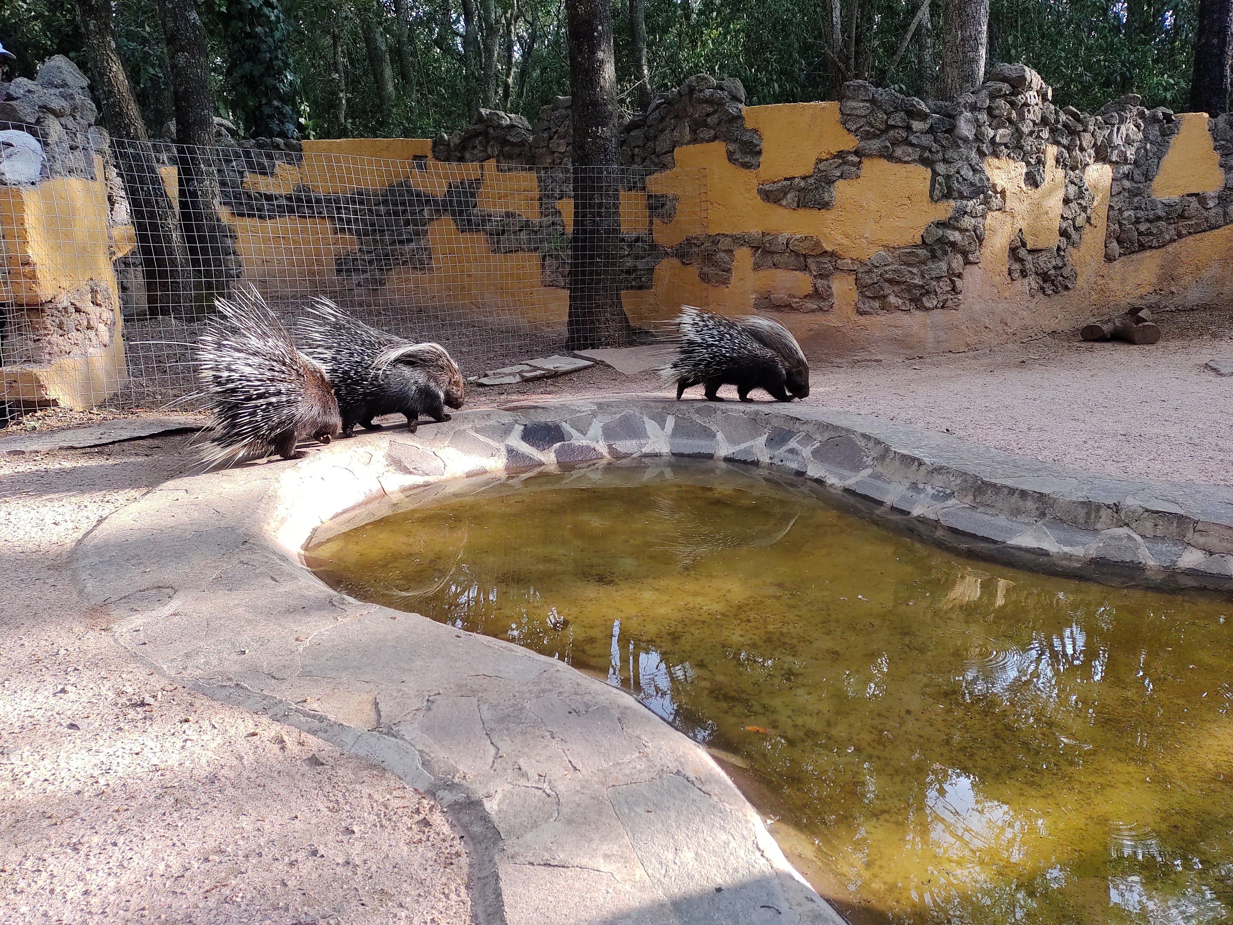 Restaurant El Quinte image 5