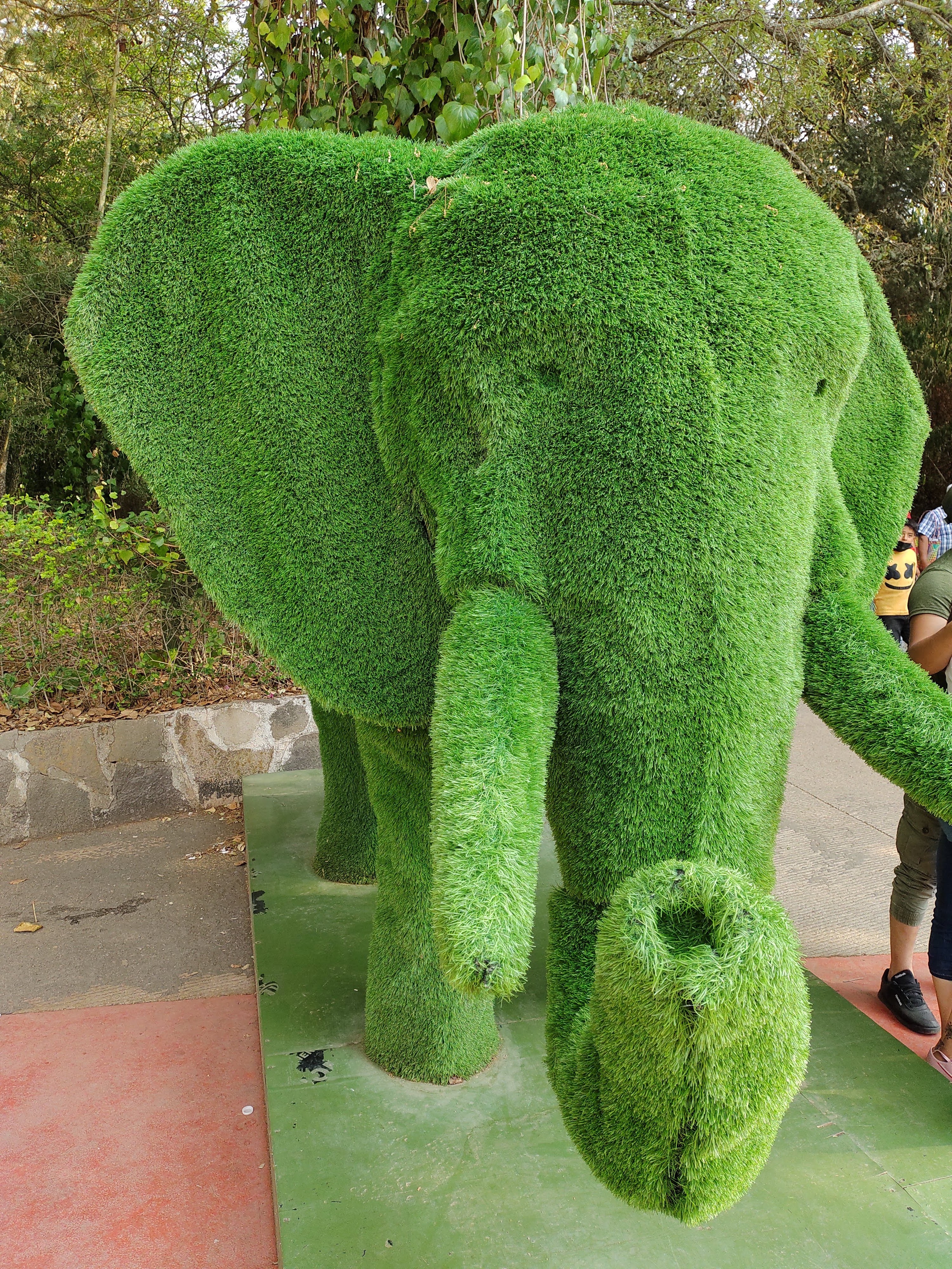 Restaurant El Quinte image 6