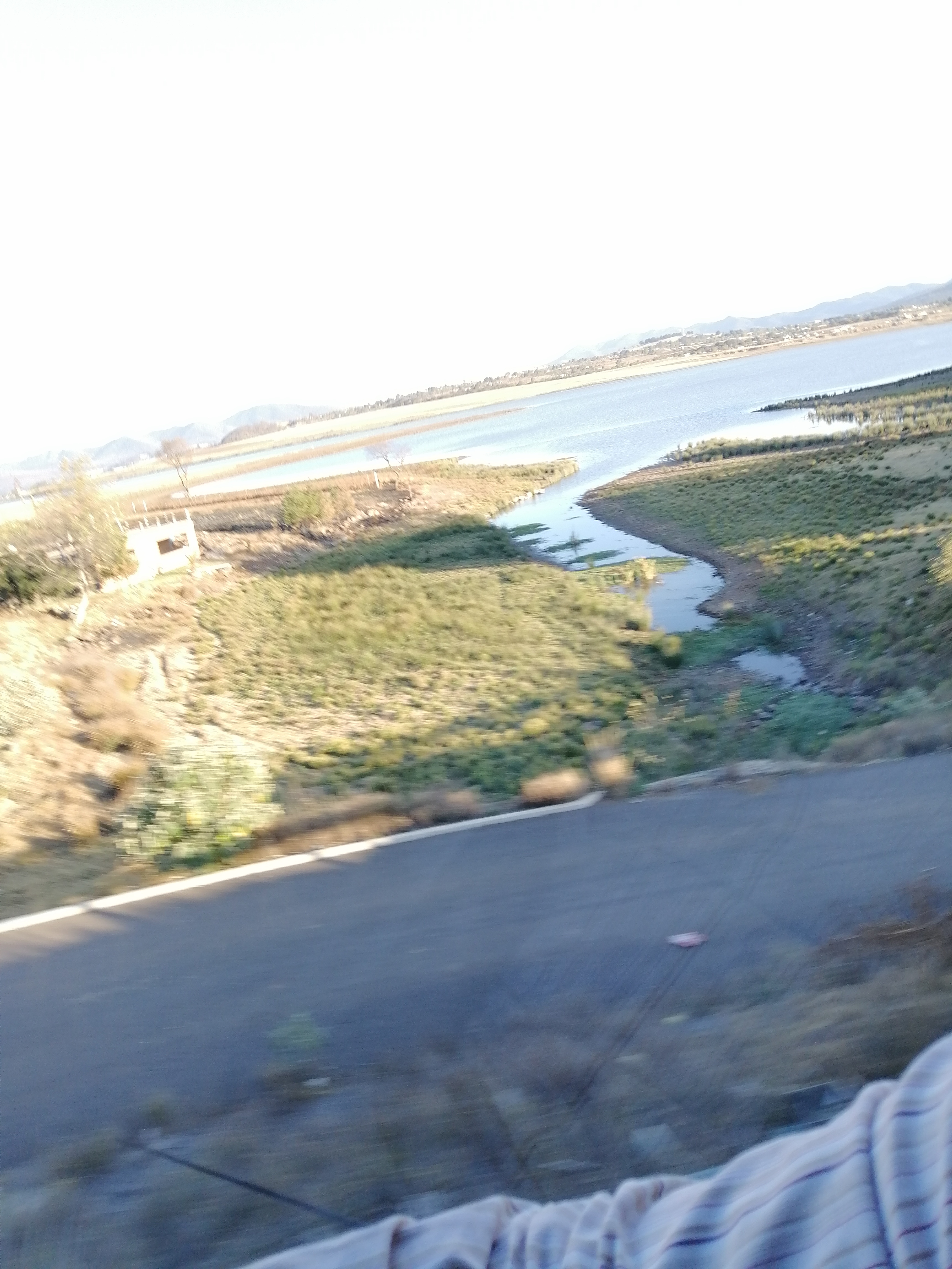 Taquería el bamby image 6