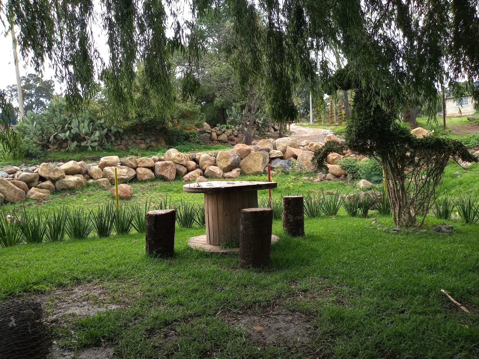 Restaurante Campestre "La Escondida" image 4