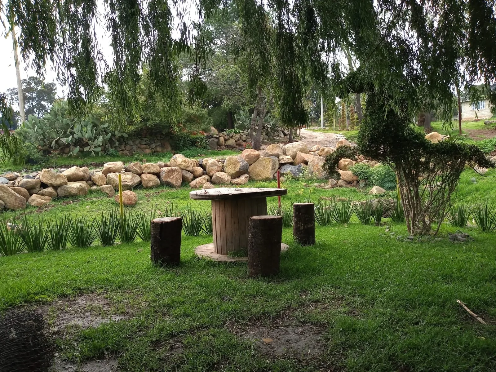 Restaurante Campestre "La Escondida" image 4